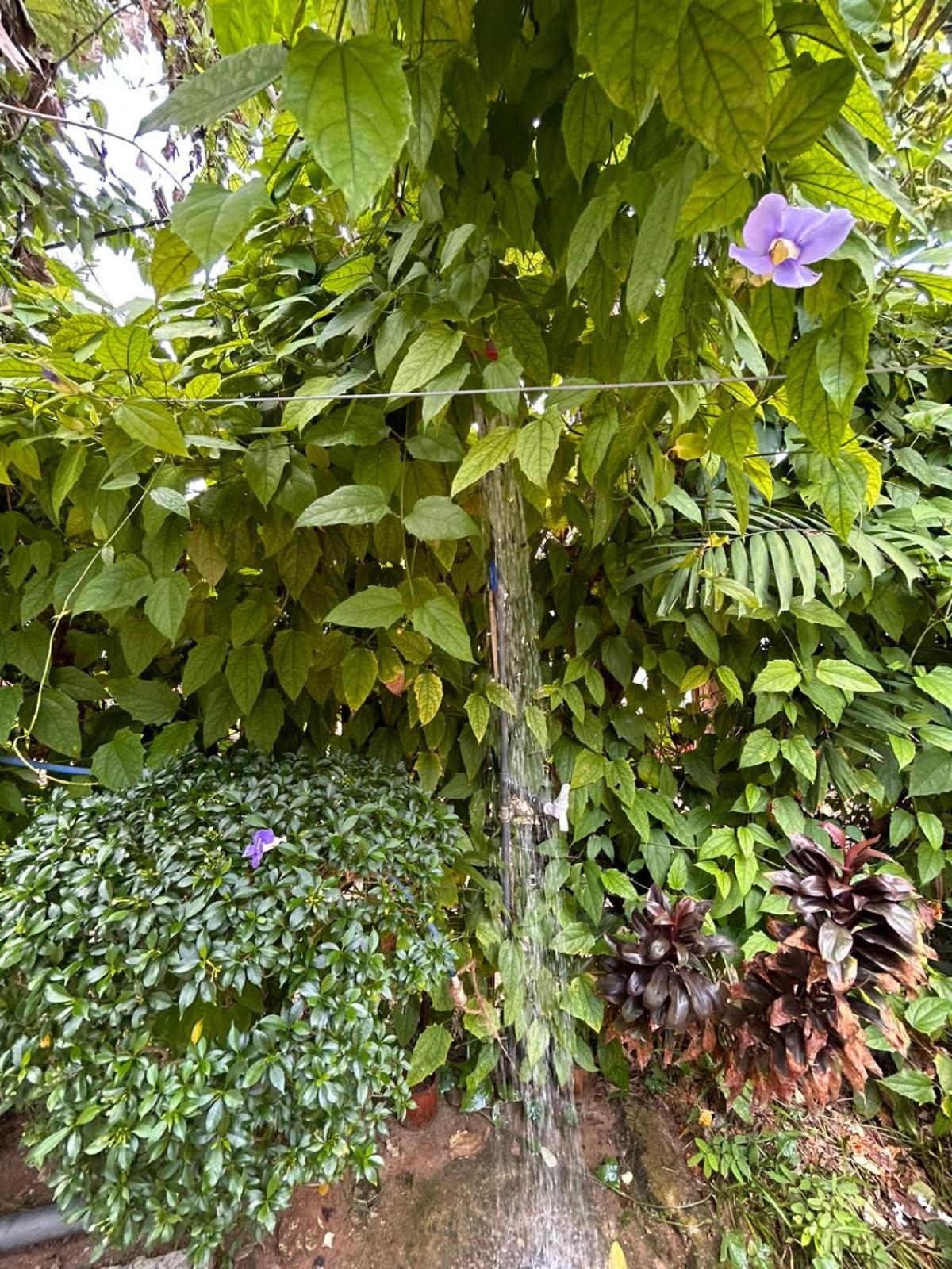 Secret Studio Chaminda view 3