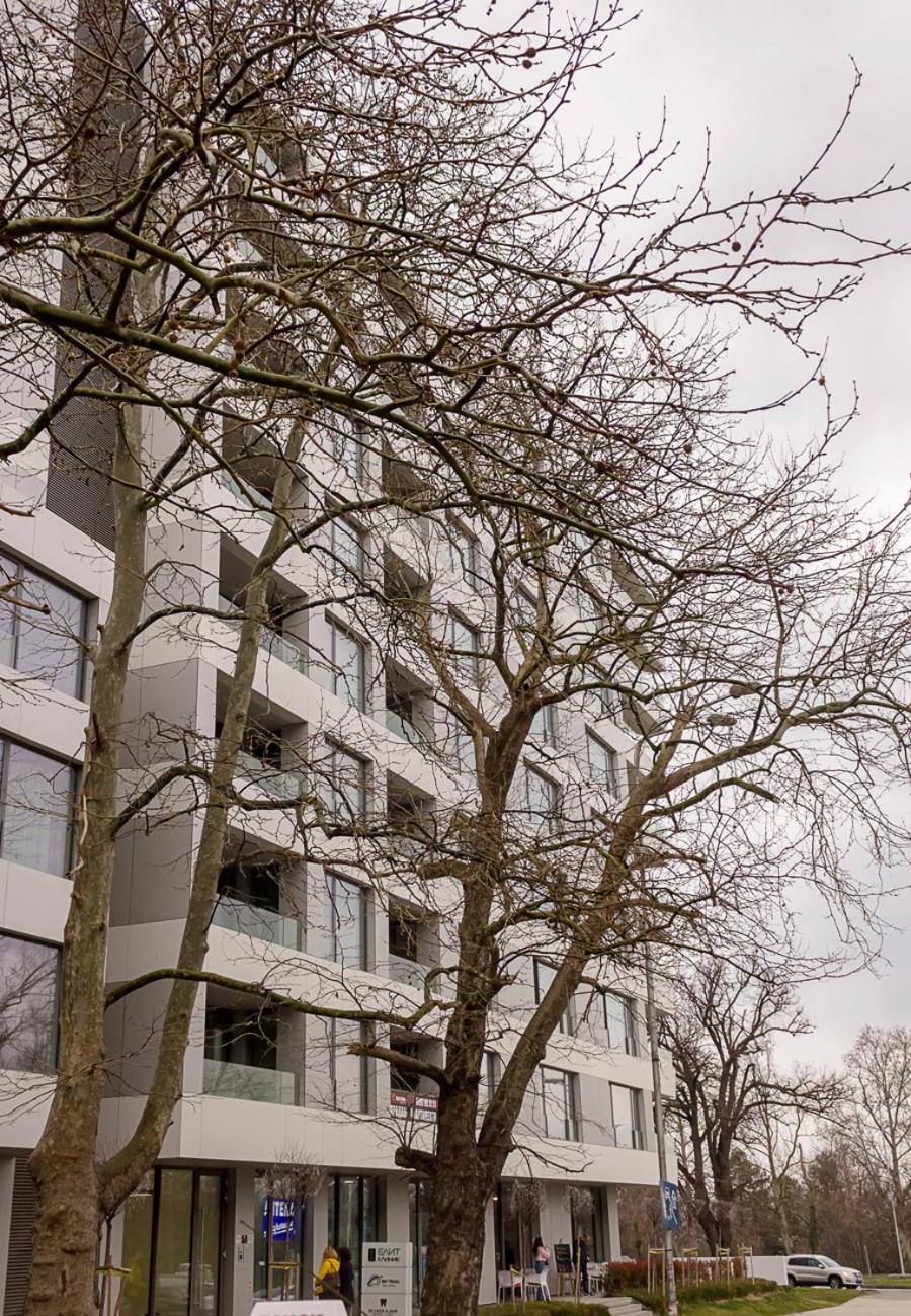 New Black & White Flat 5 Min Away From Sea Garden