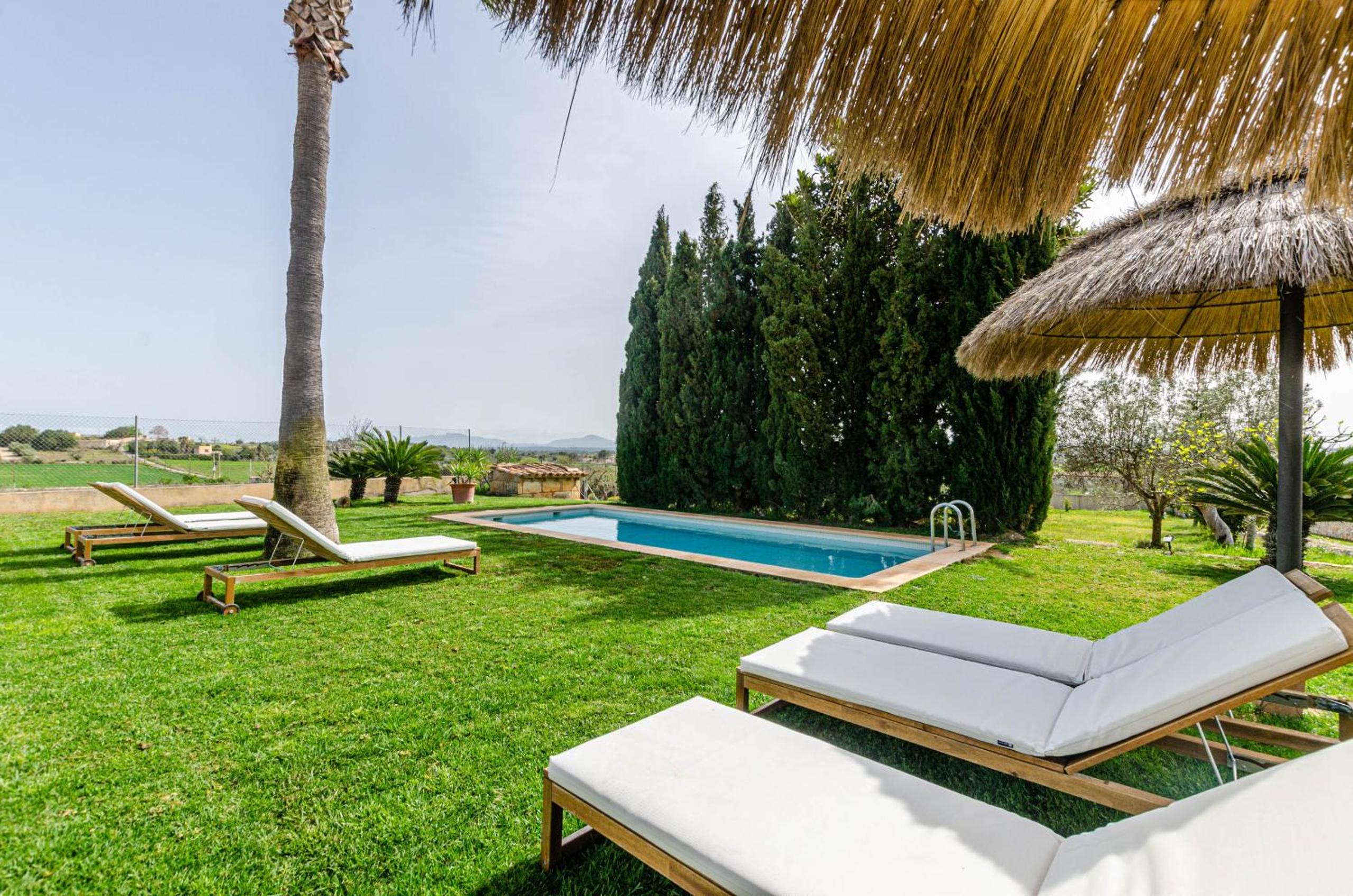 YourHouse Carrera Plana