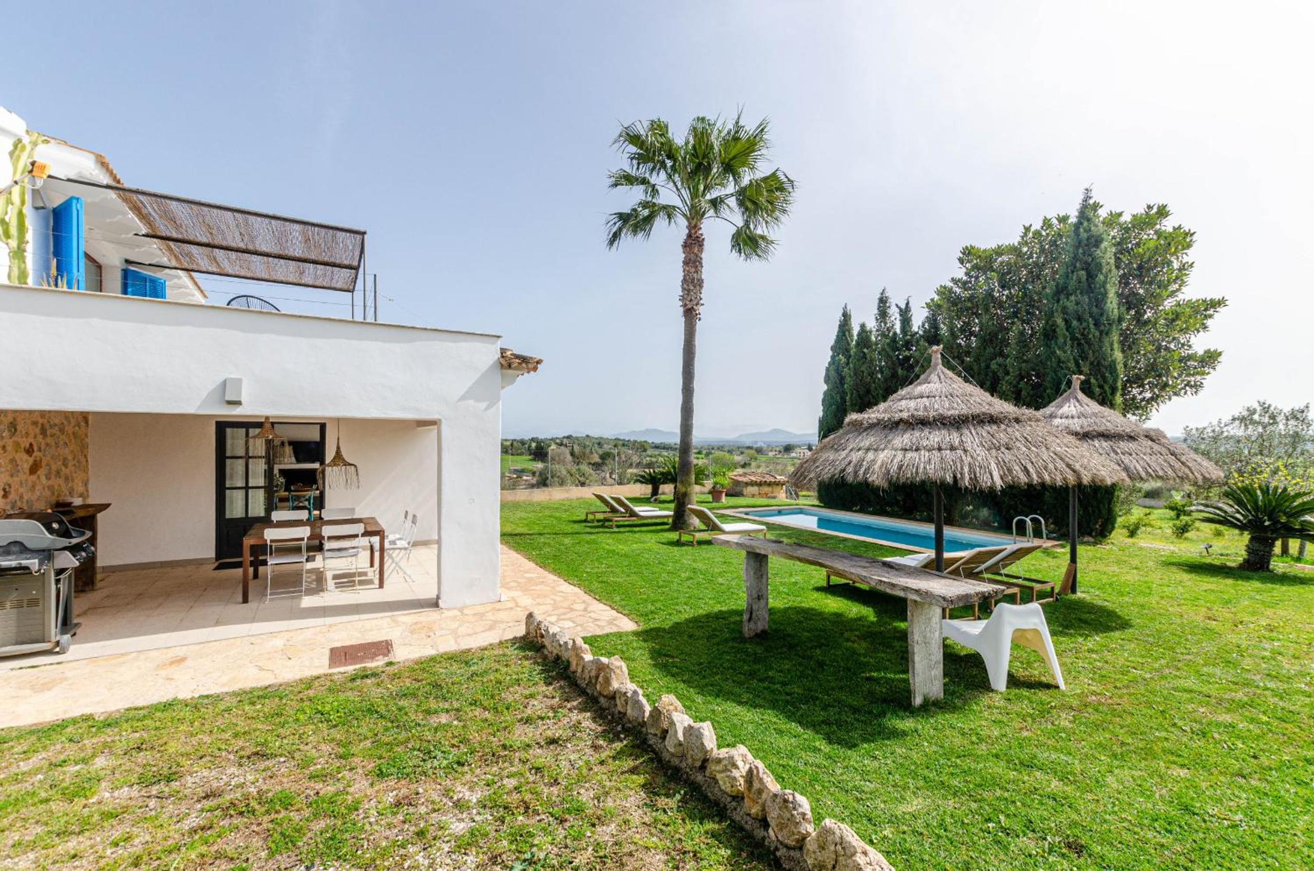 YourHouse Carrera Plana