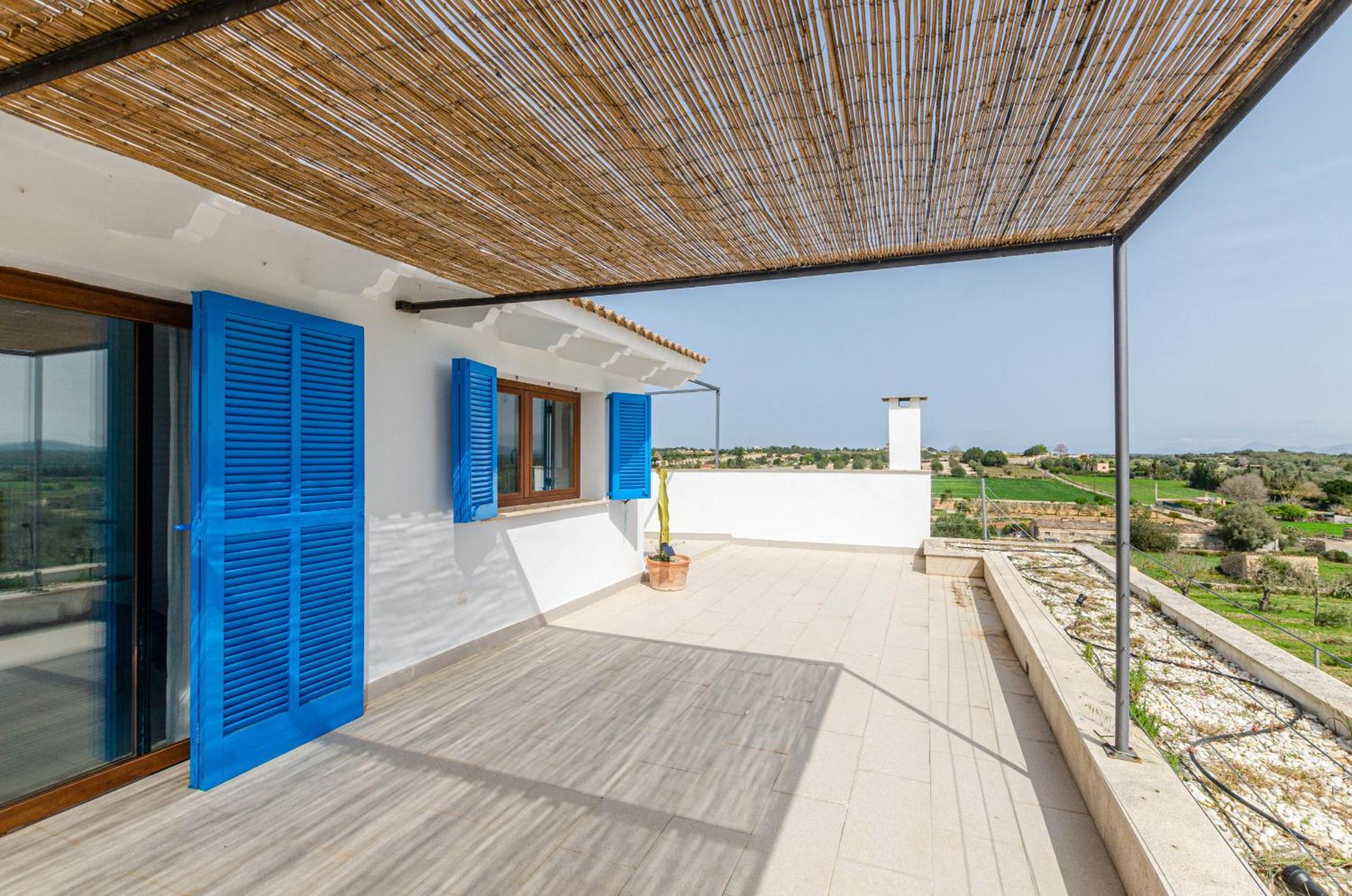 YourHouse Carrera Plana