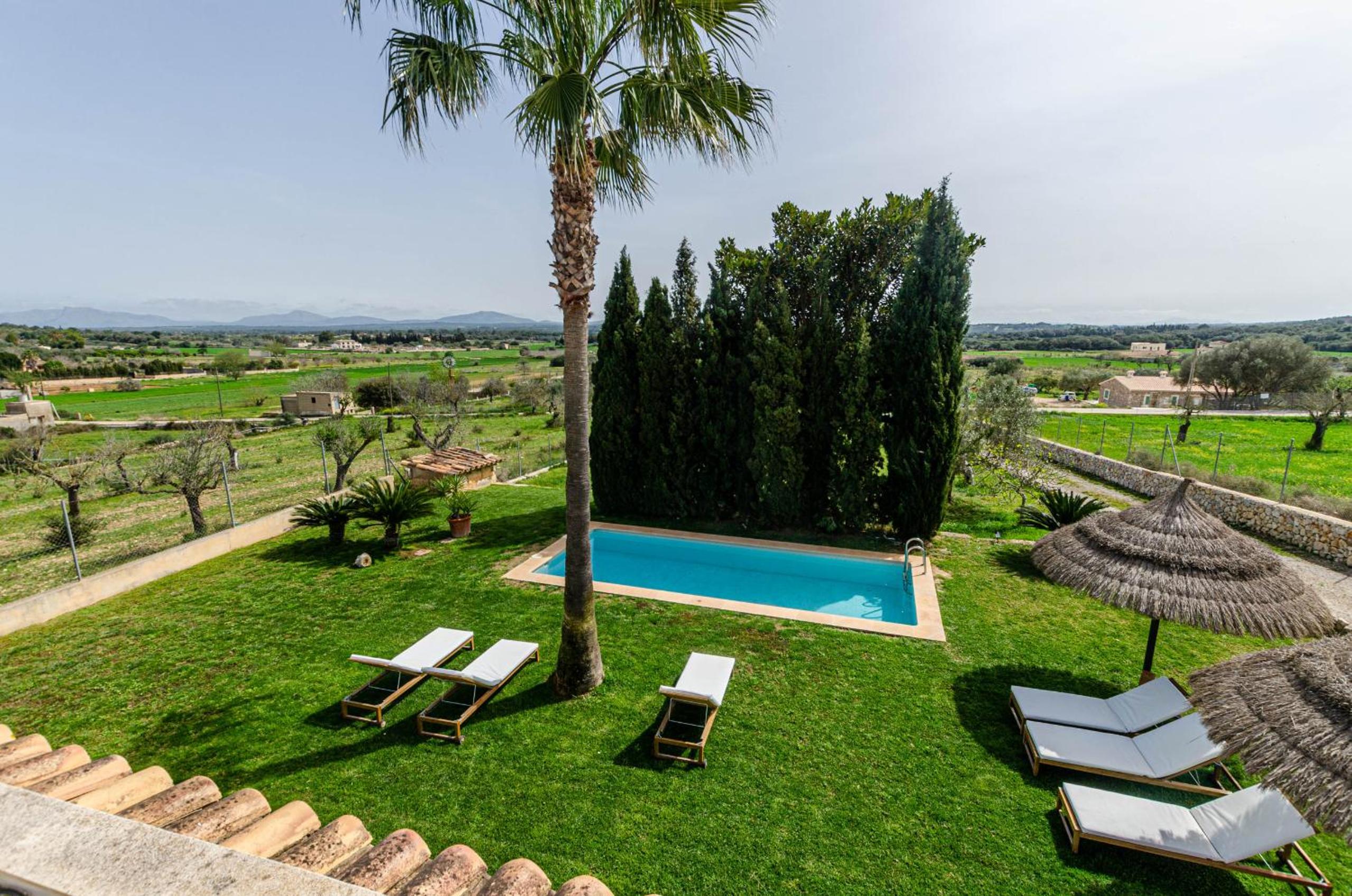 YourHouse Carrera Plana