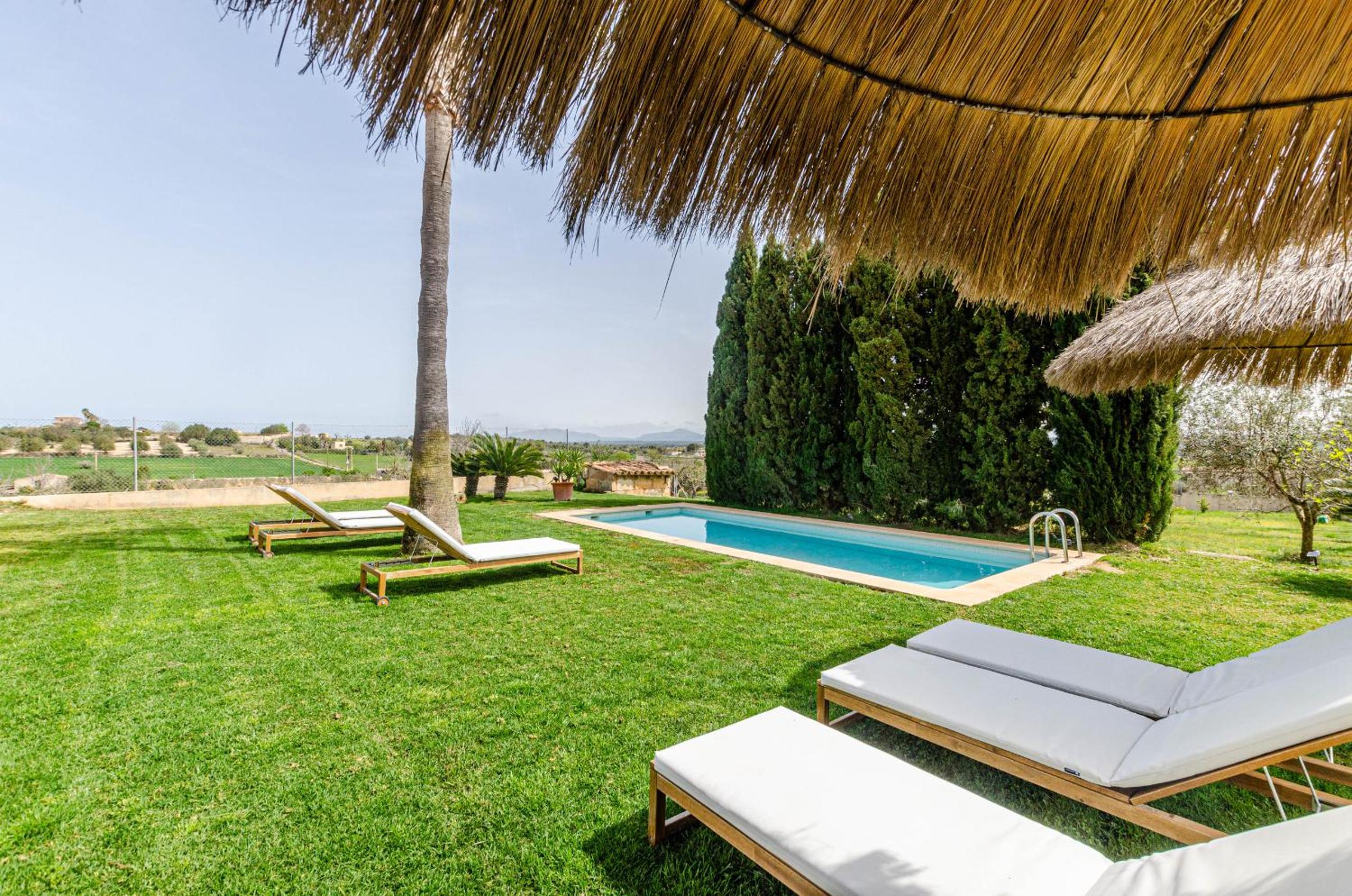 YourHouse Carrera Plana
