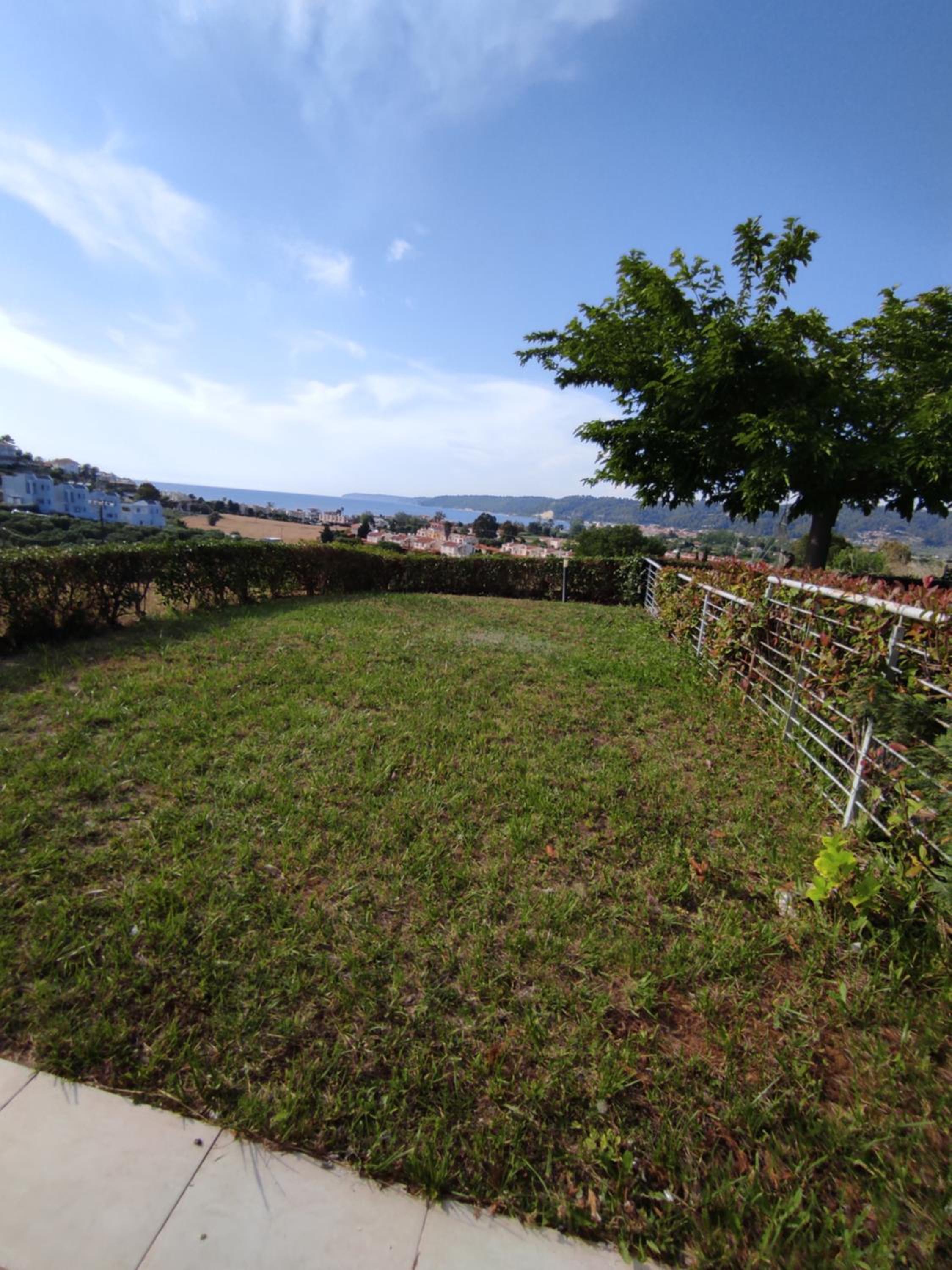 Photo 71