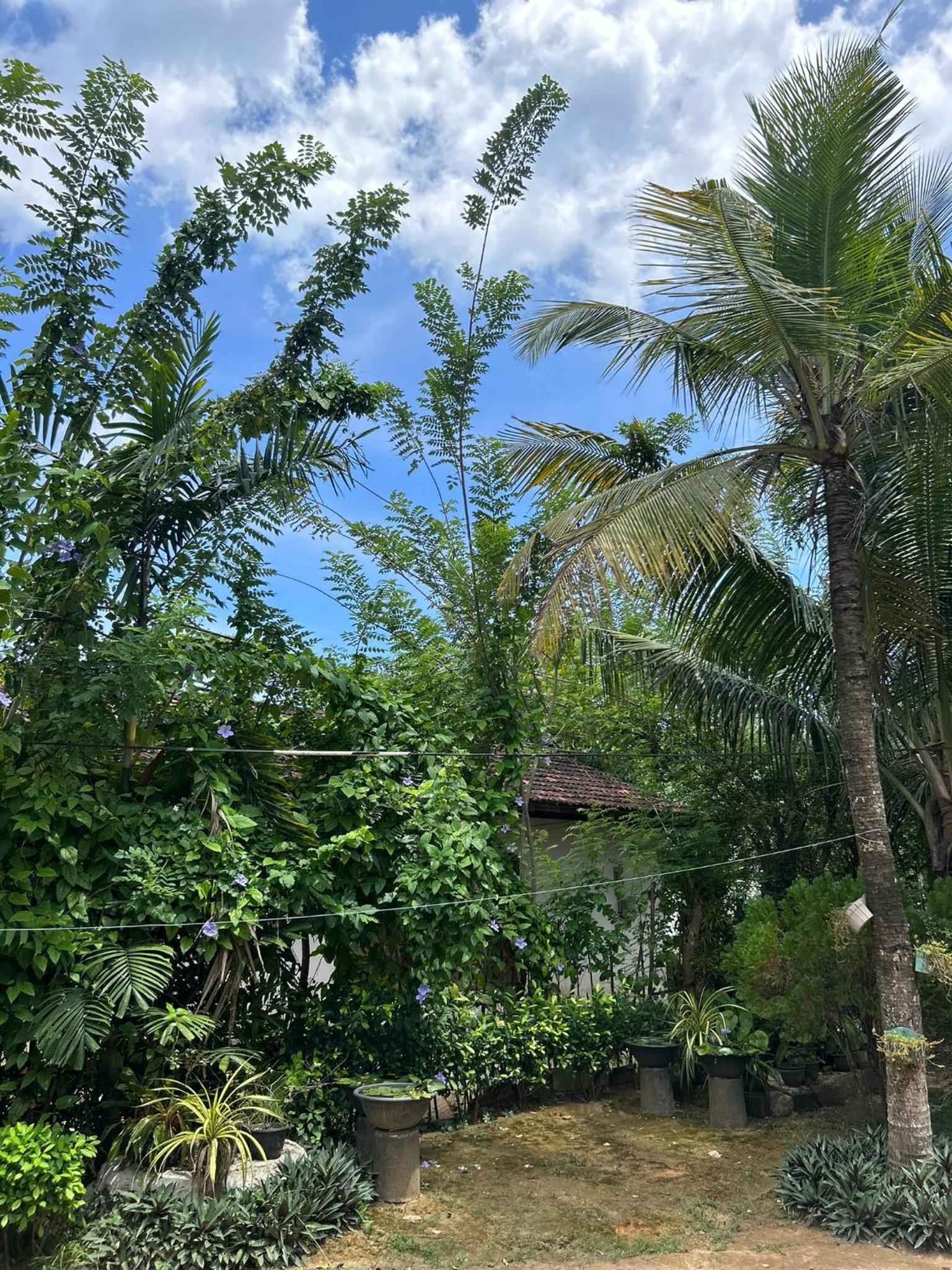 Chaminda Secret Villa