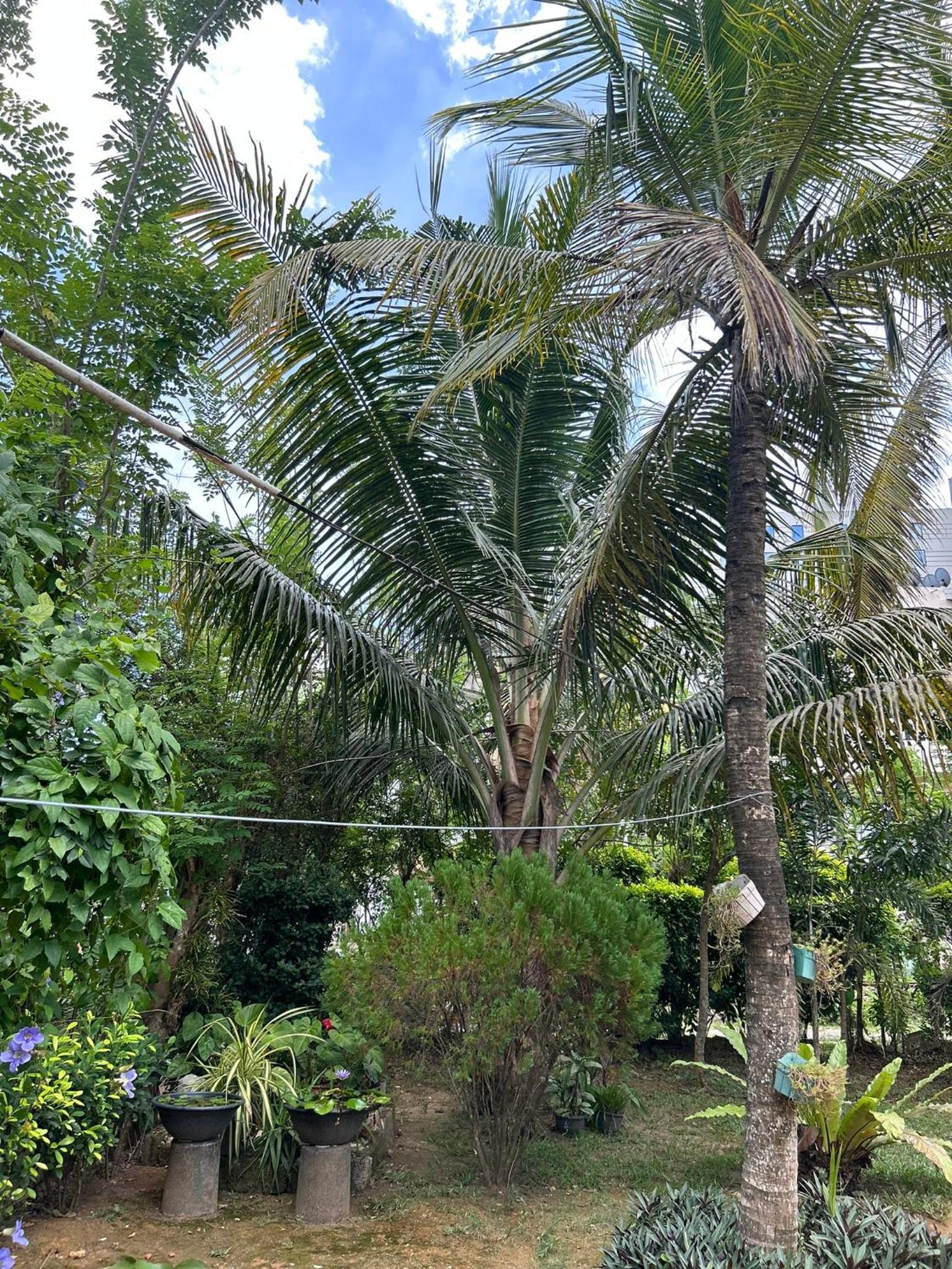 Chaminda Secret Villa