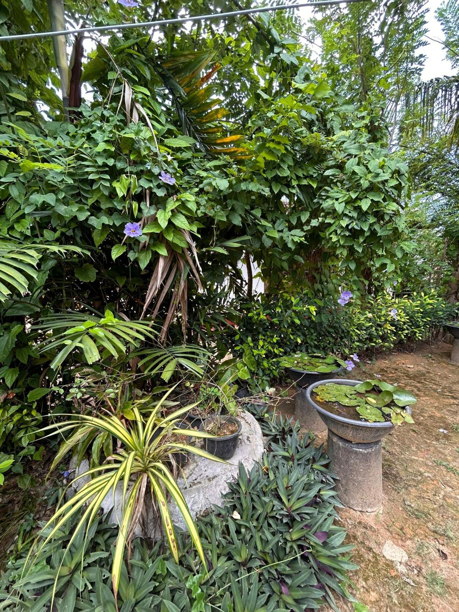 Chaminda Secret Villa