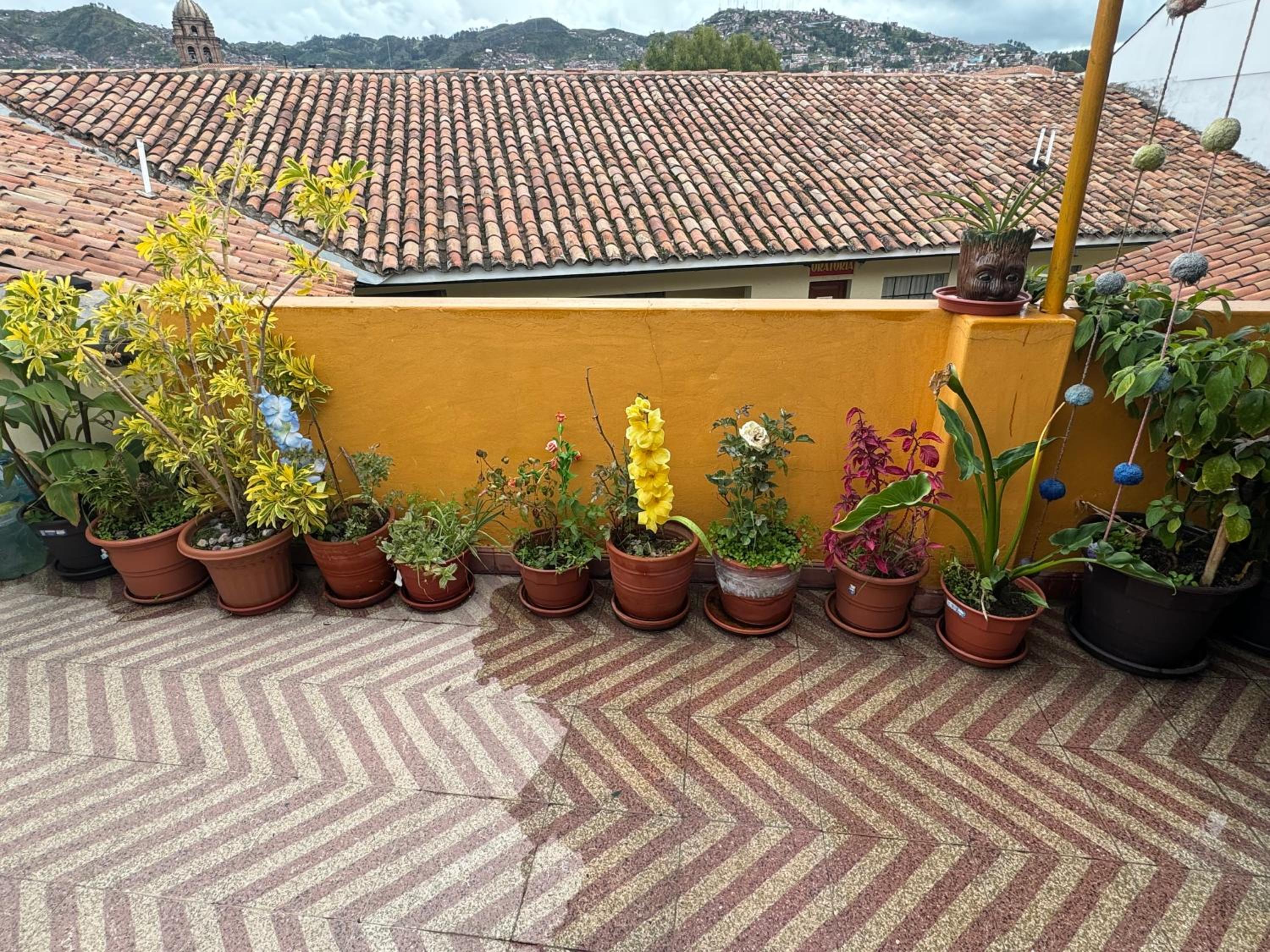Photo 14