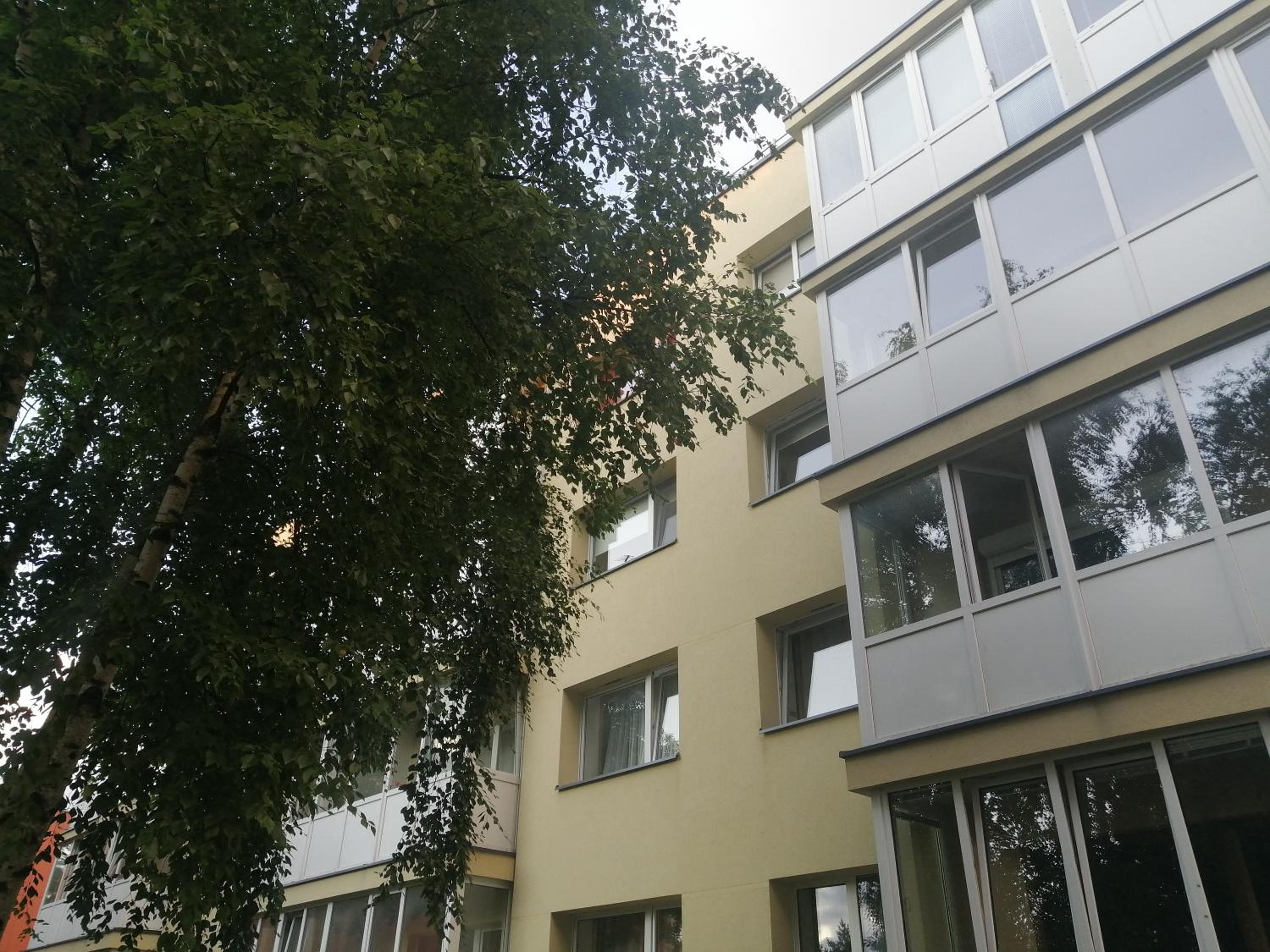 Ganyklos prie fontano
