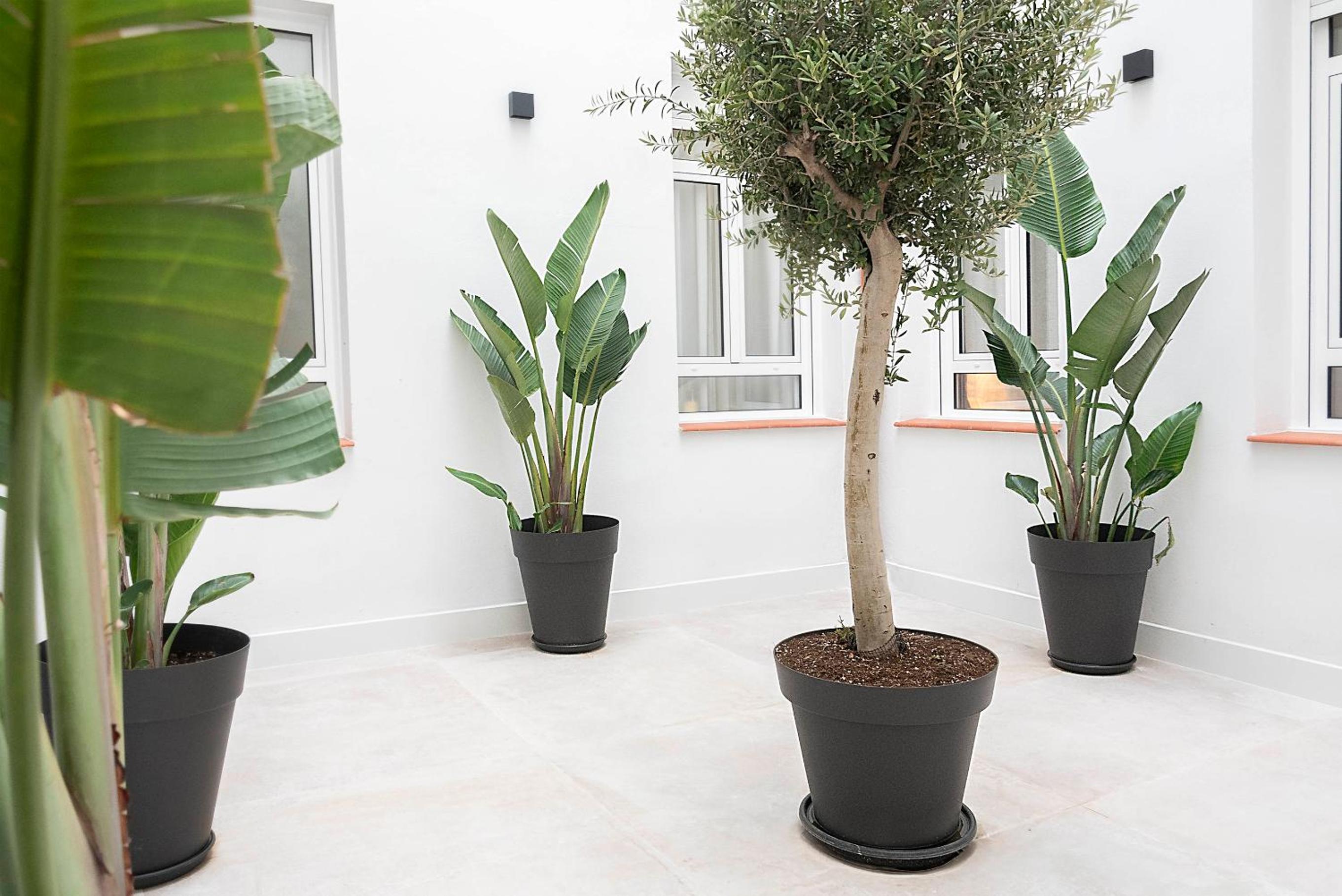 Woohoo Rooms Boutique Luna