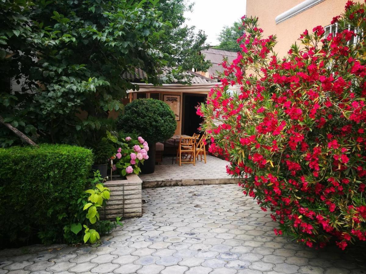 Varketili garden