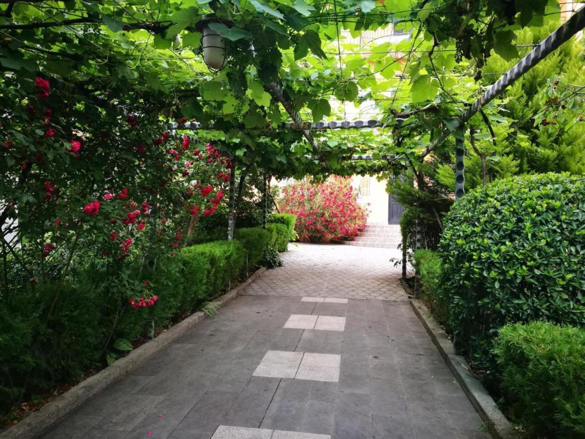 Varketili garden