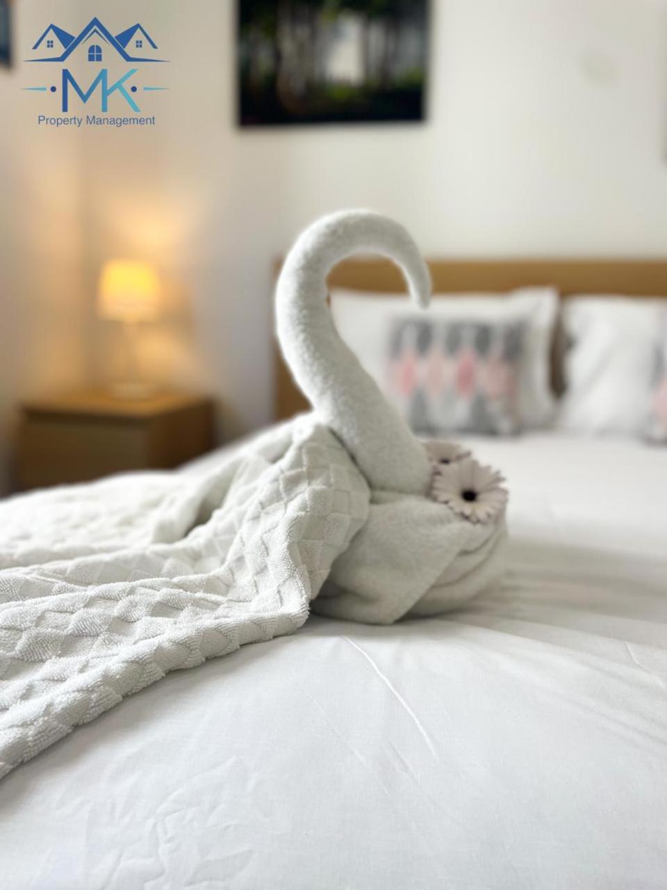 Laura's Cozy Apartment