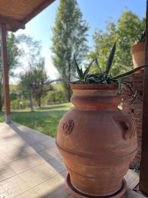 Tenuta Agave photo 5