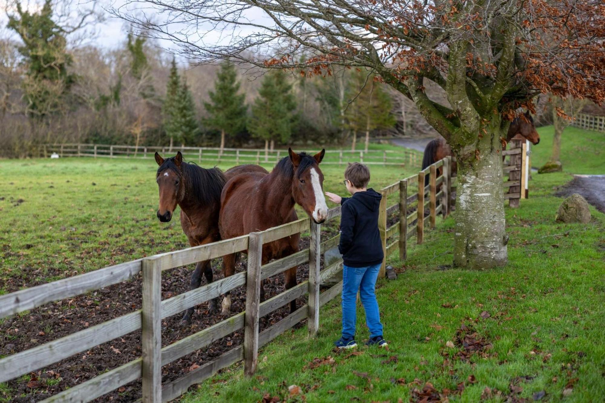 Photo 26