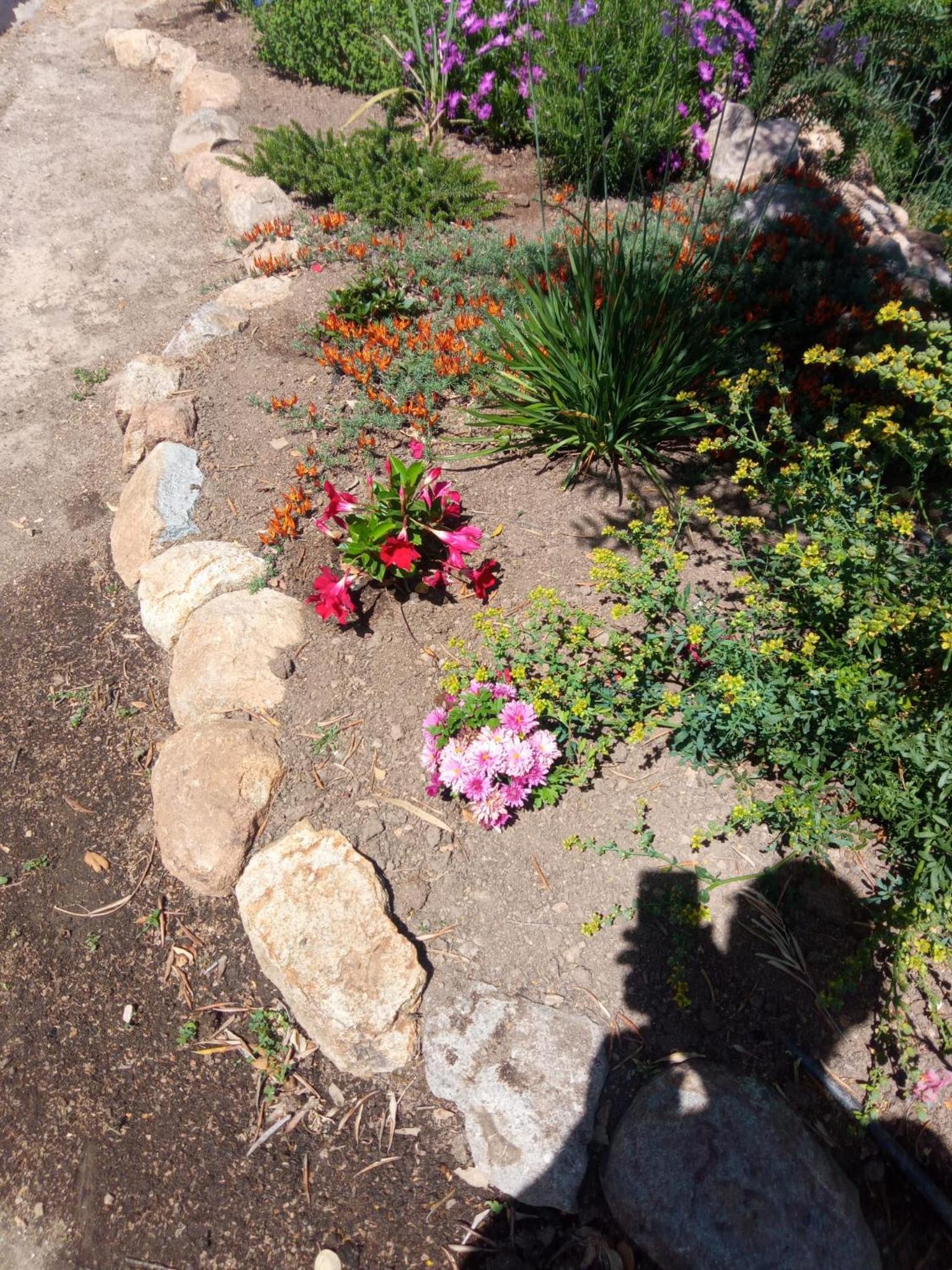 Photo 39