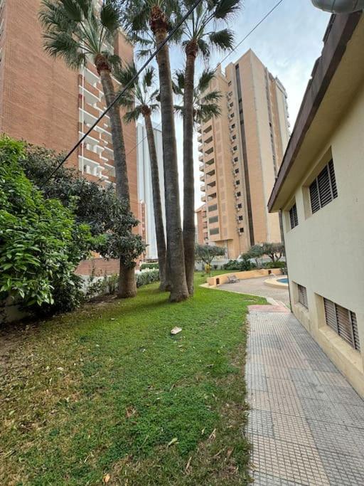 Luminoso apartamento en Benidorm