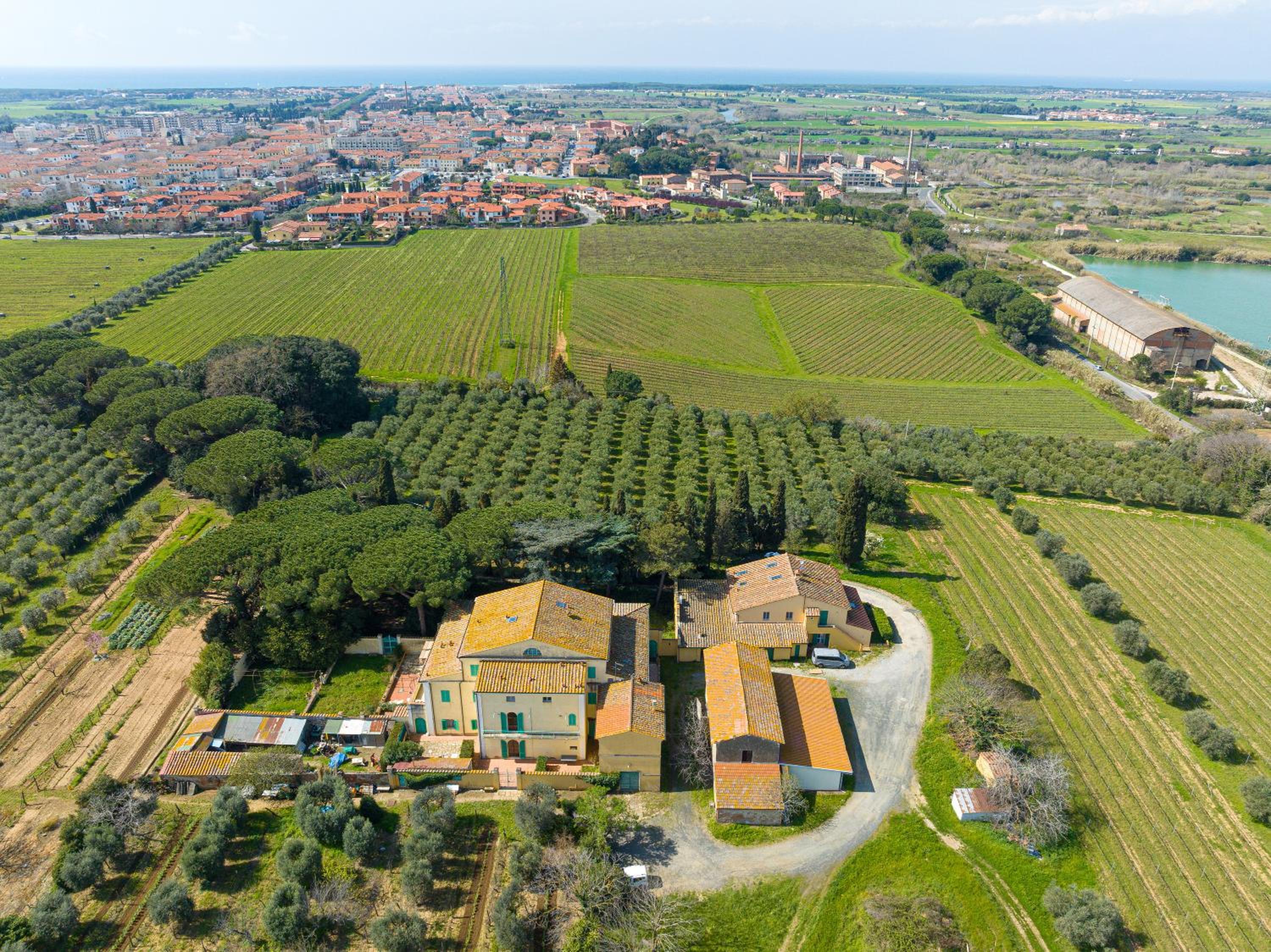 Enrichetta a Cecina photo 5