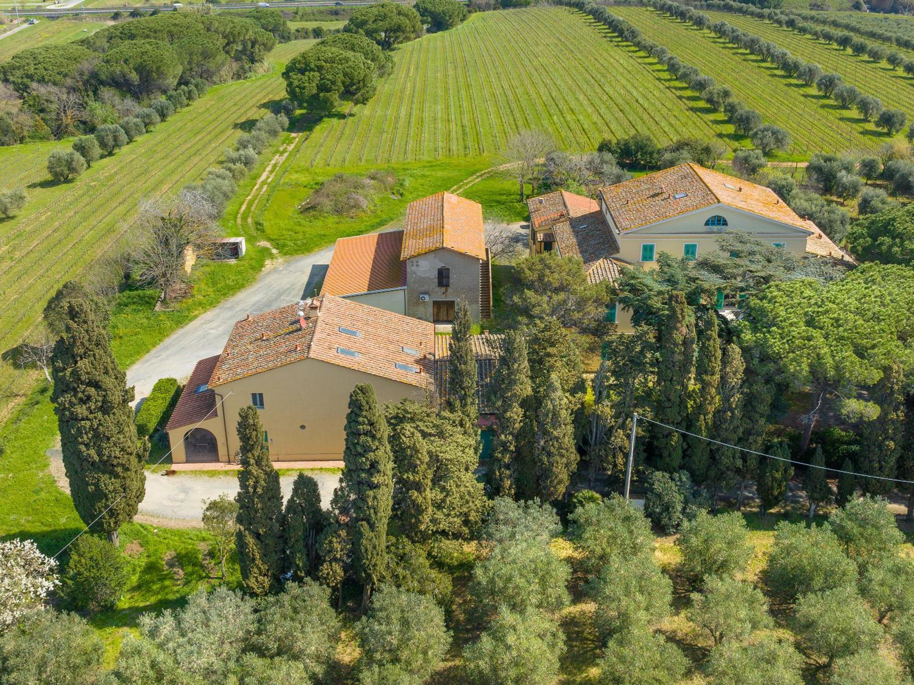 Enrichetta a Cecina photo 4