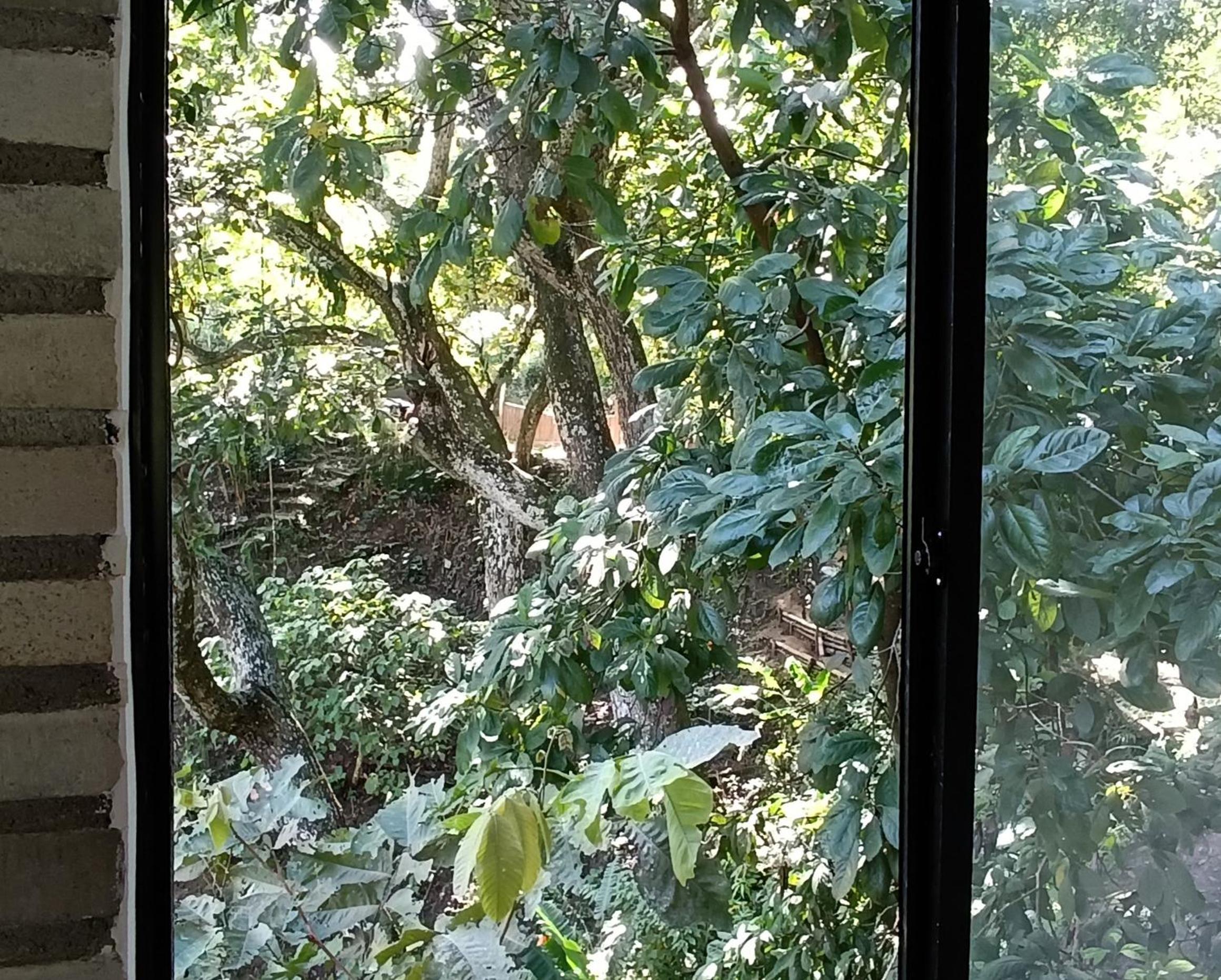 Edén Los Abuelos 2 - Casa Privada en Minca Nature