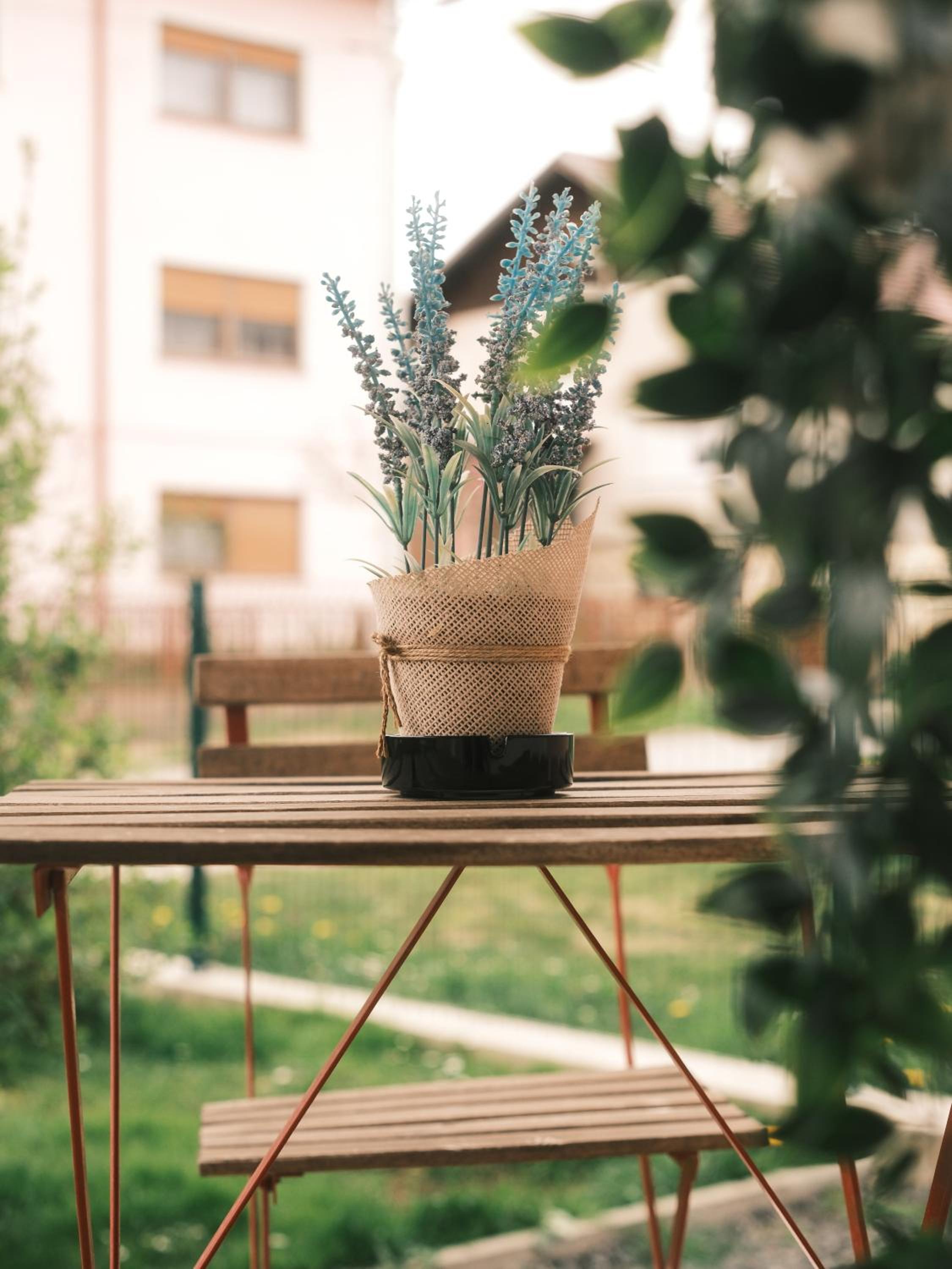 Apartmani Venium