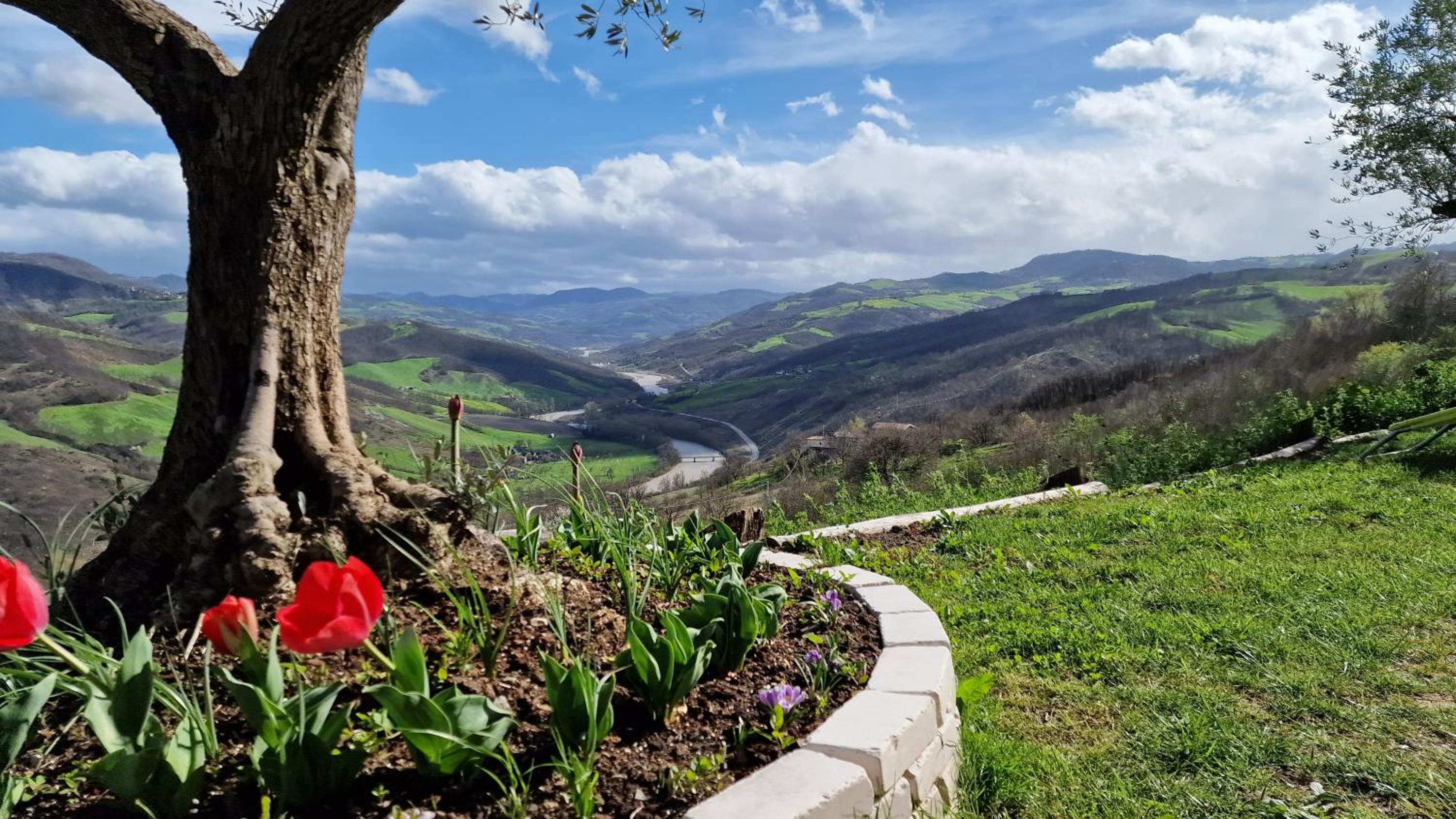 La Finestra Sul Mondo view 3