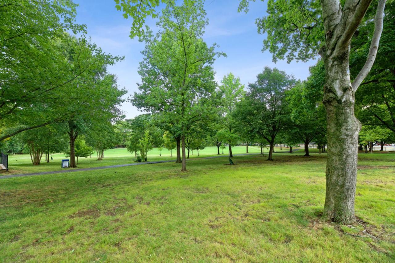 Crystal City Charm Free Parking 204 view 3