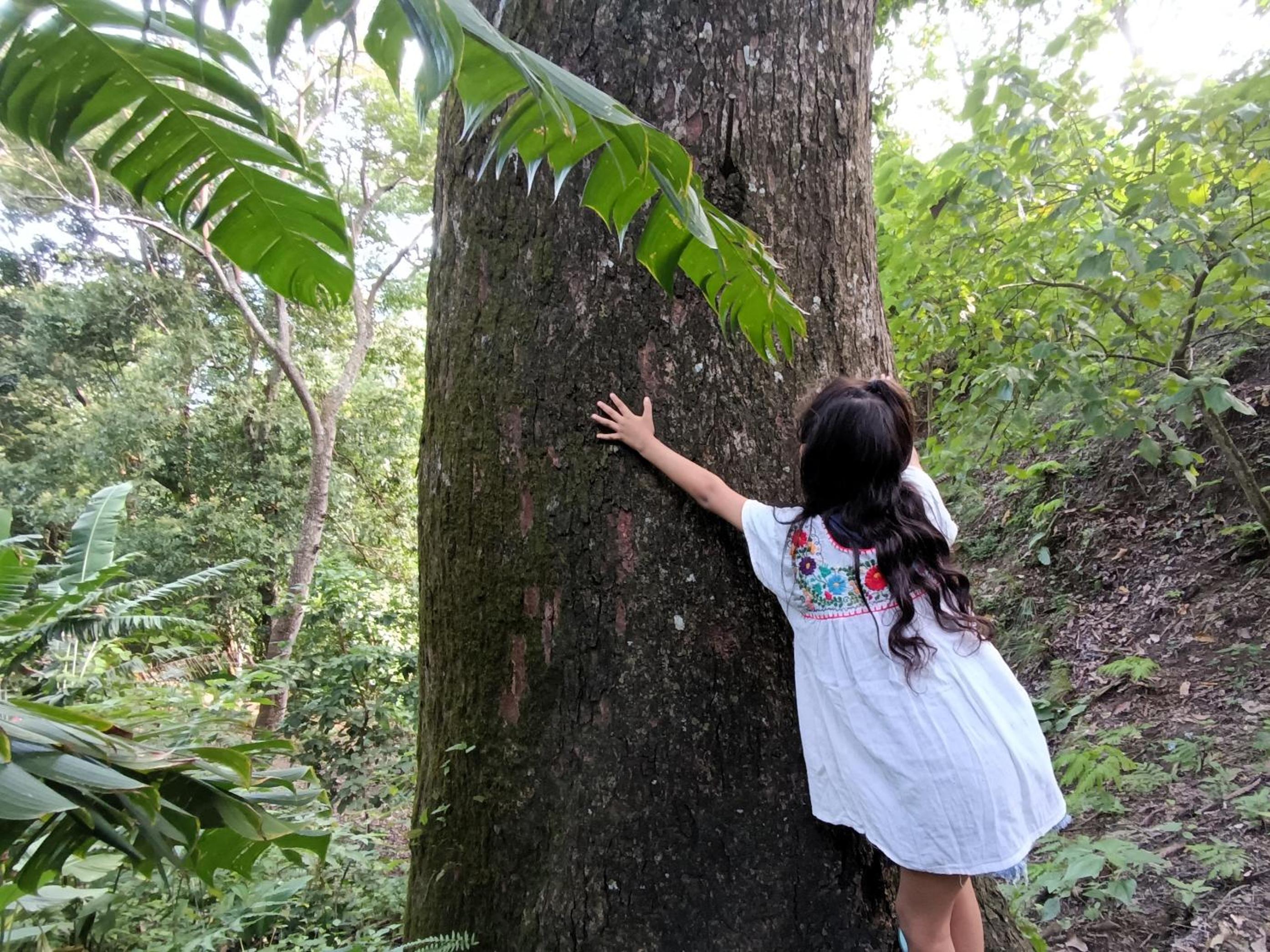 Edén Los Abuelos 2 - Casa Privada en Minca Nature