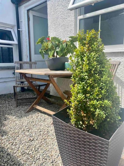 Appartment-The Little Vardo