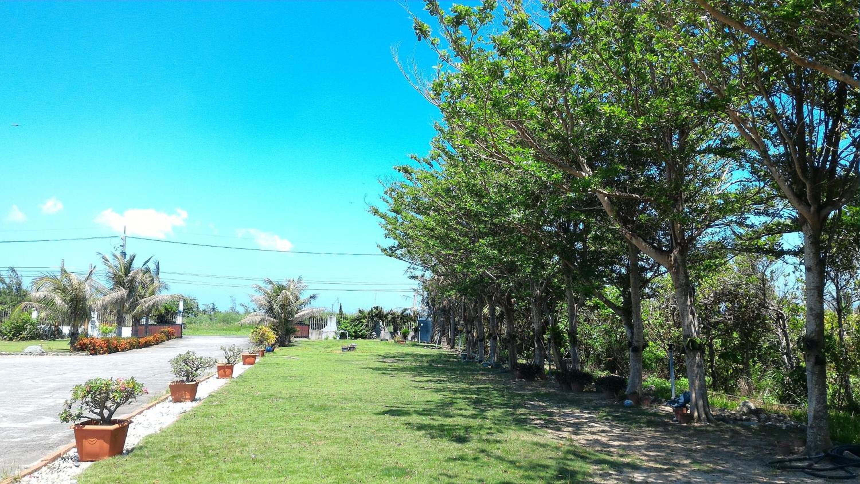 Coconutpalm Home