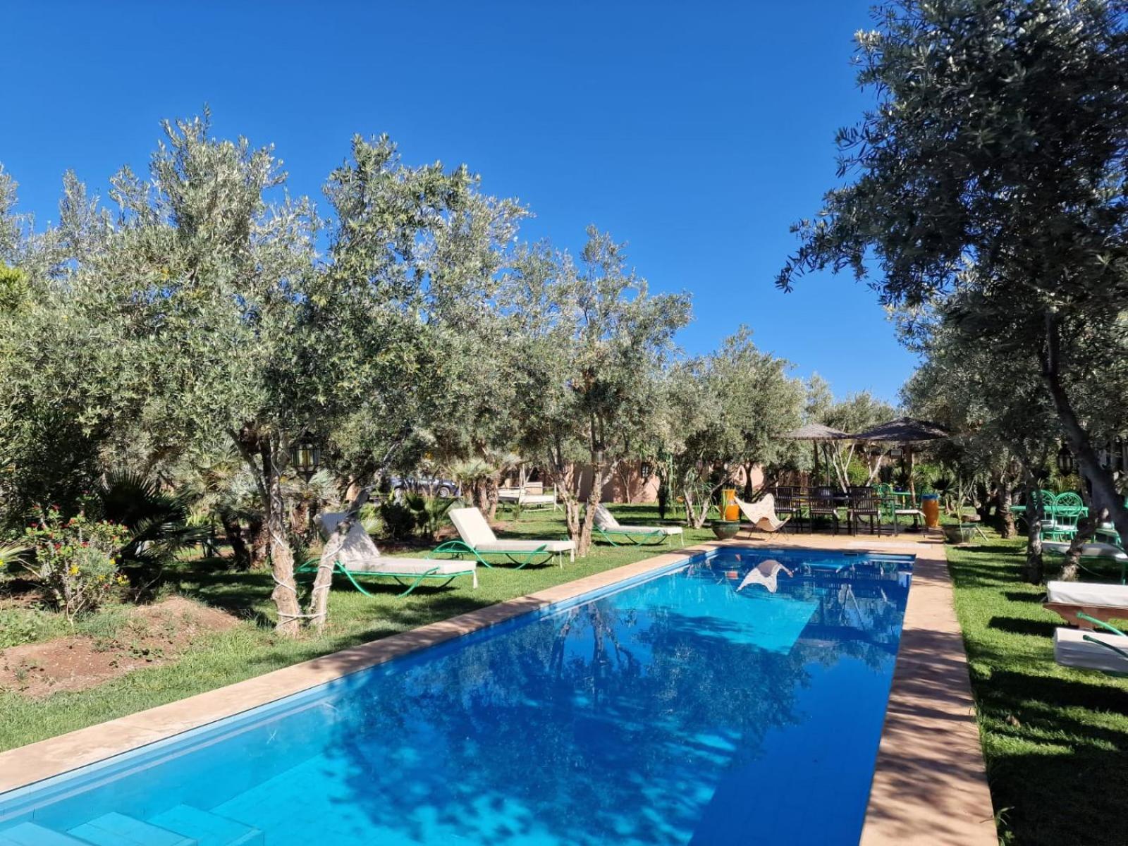 Manzal Lahbab, 2Villas 2Bungalows 2Piscines et Jardins view 5