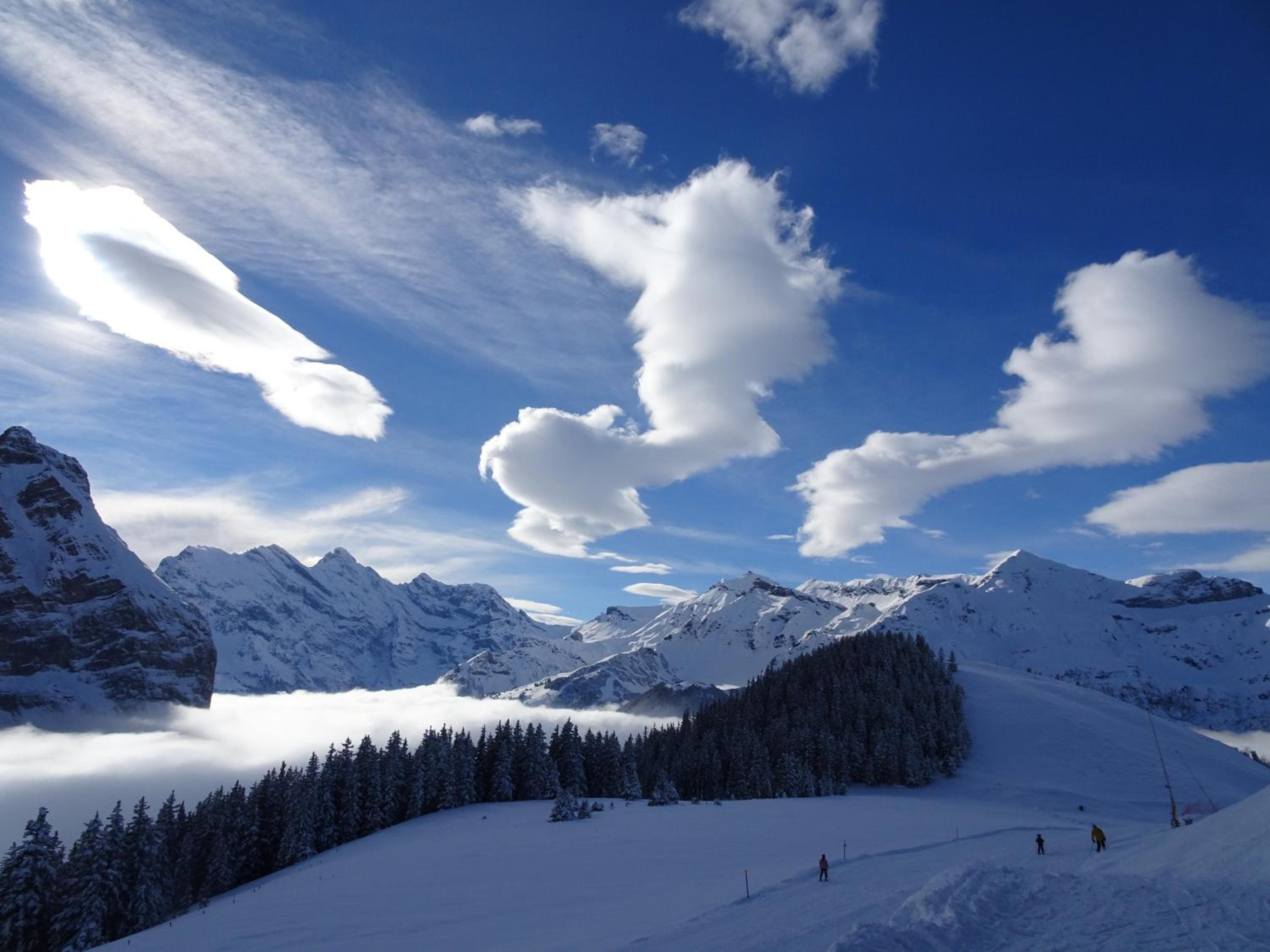 Chalet Alpina Gyger
