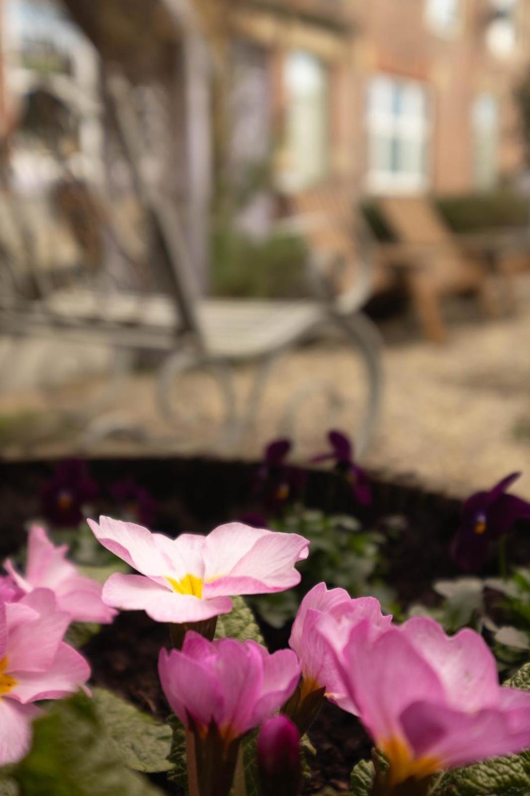 Lilac Cottage Morpeth Northumberland