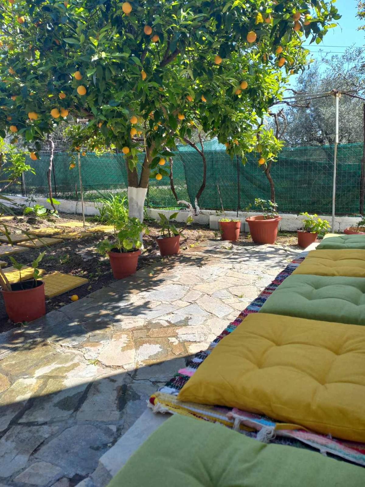 Maria's garden house photo 2