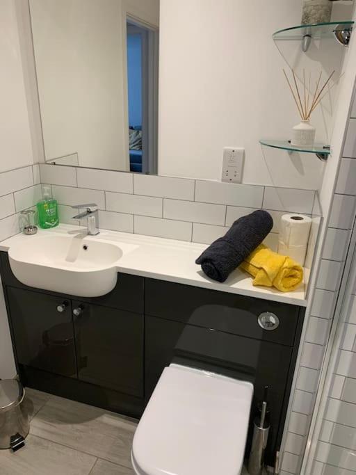 1 bedroom self contained separate Annexe in Exeter view 5