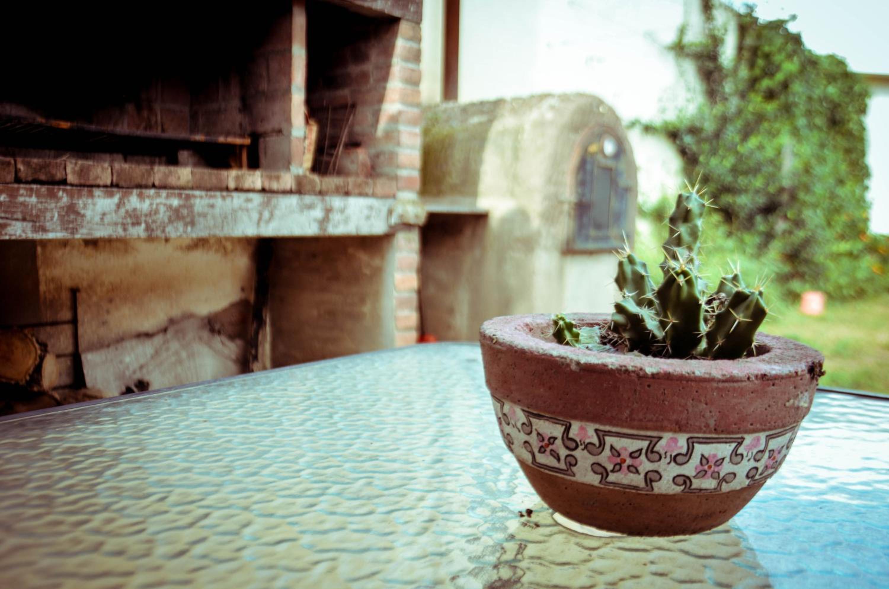 El patio de Malek