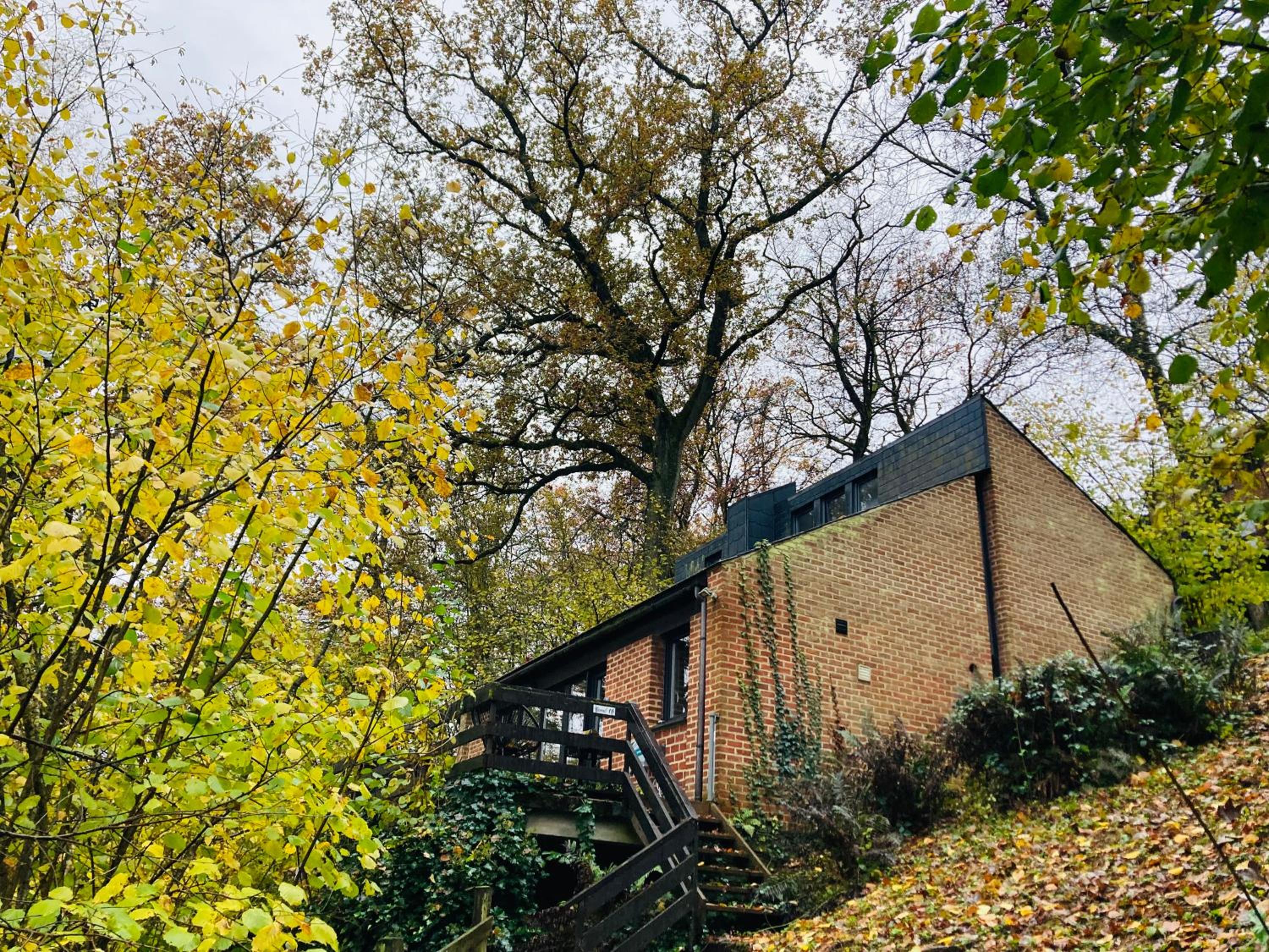 Woody Lodge - Duplex Nature Bonsoy Ardennes