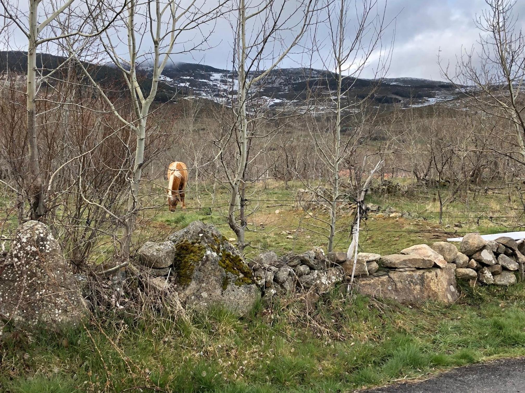 La Casita del Alberche