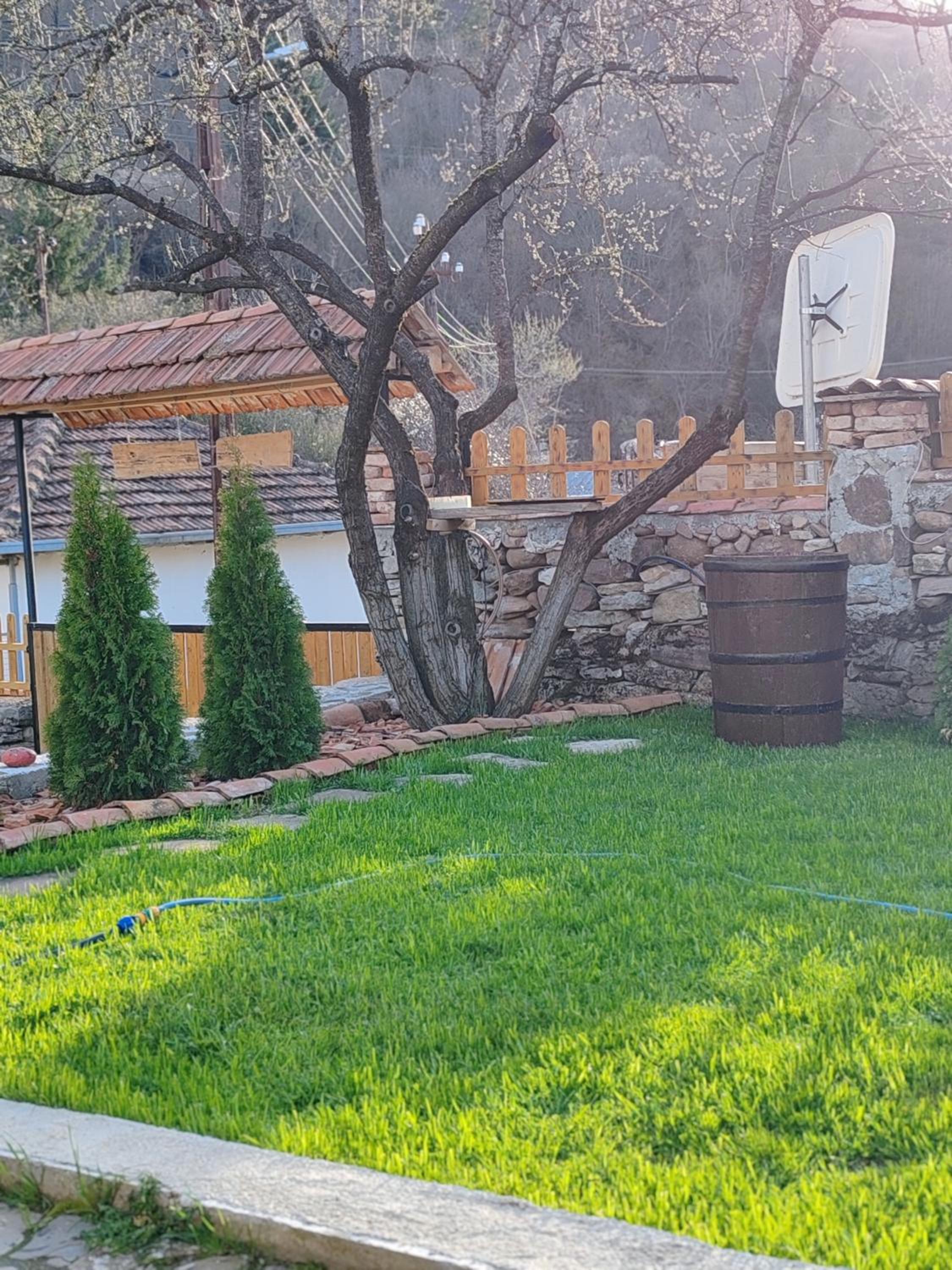 Vila Antić