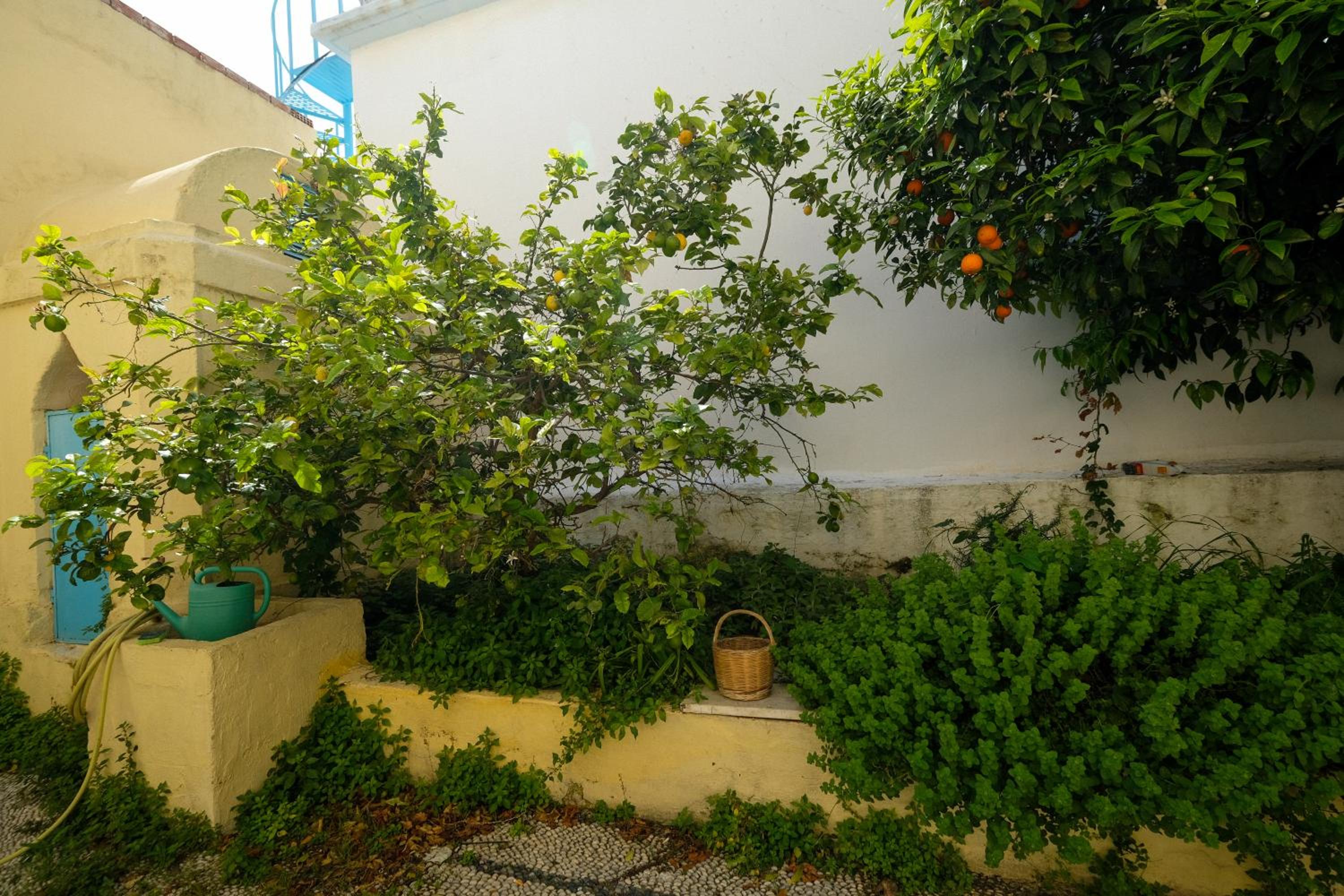 Photo 7
