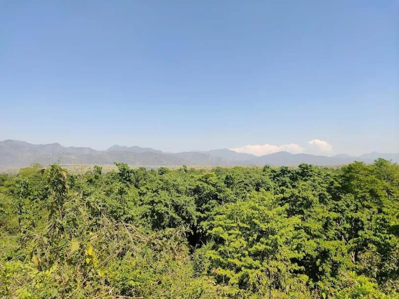 Ghughuti Homestay view 4