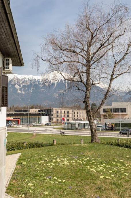 Spacious And Historic Villa With Bled Castle View view 5