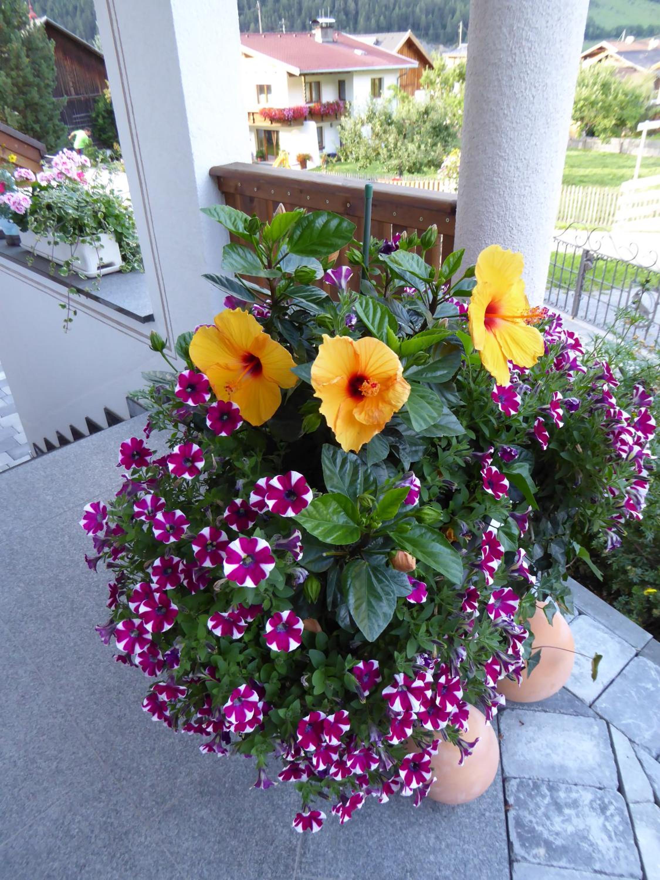 Photo 54