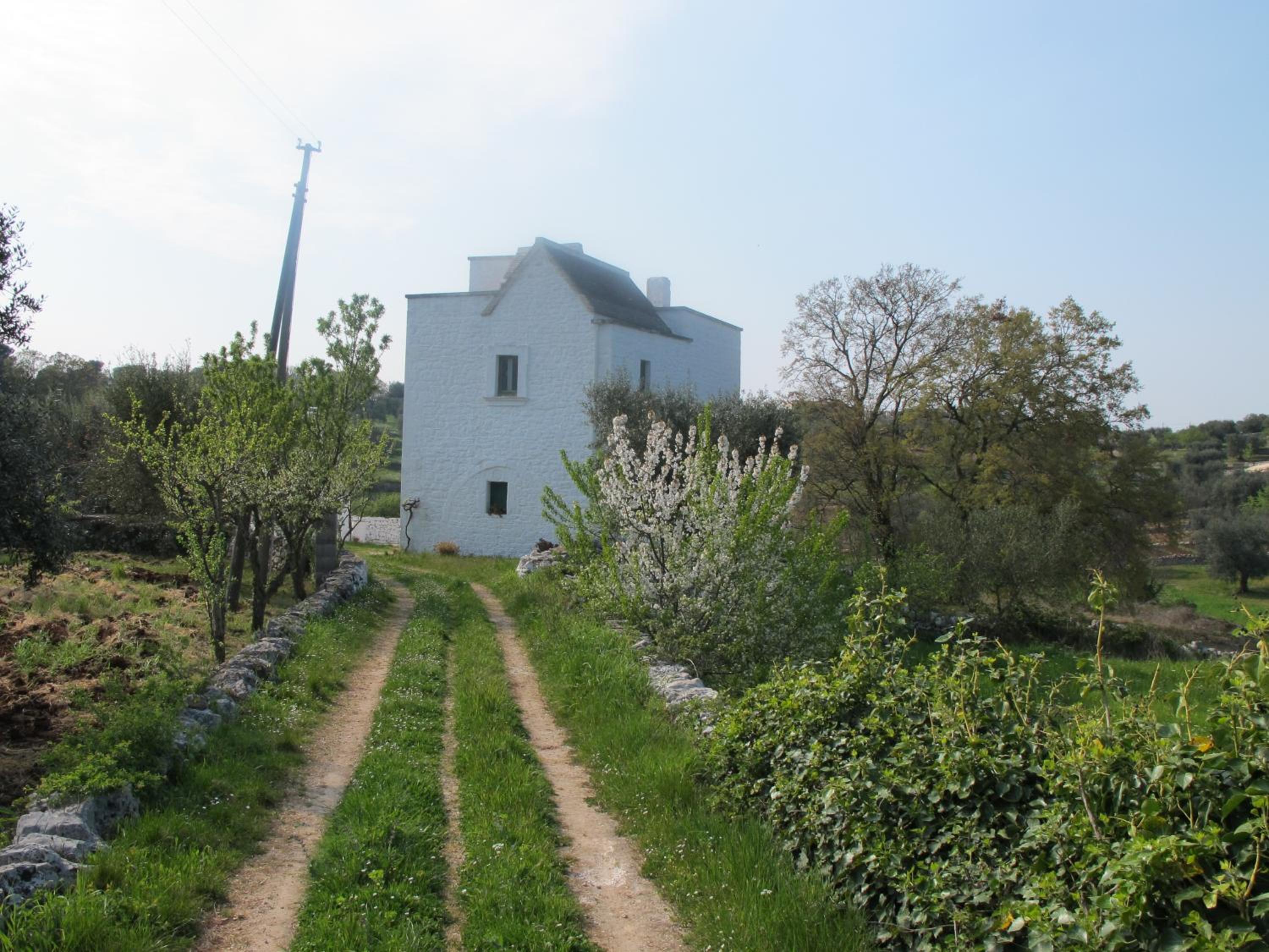 Photo 40