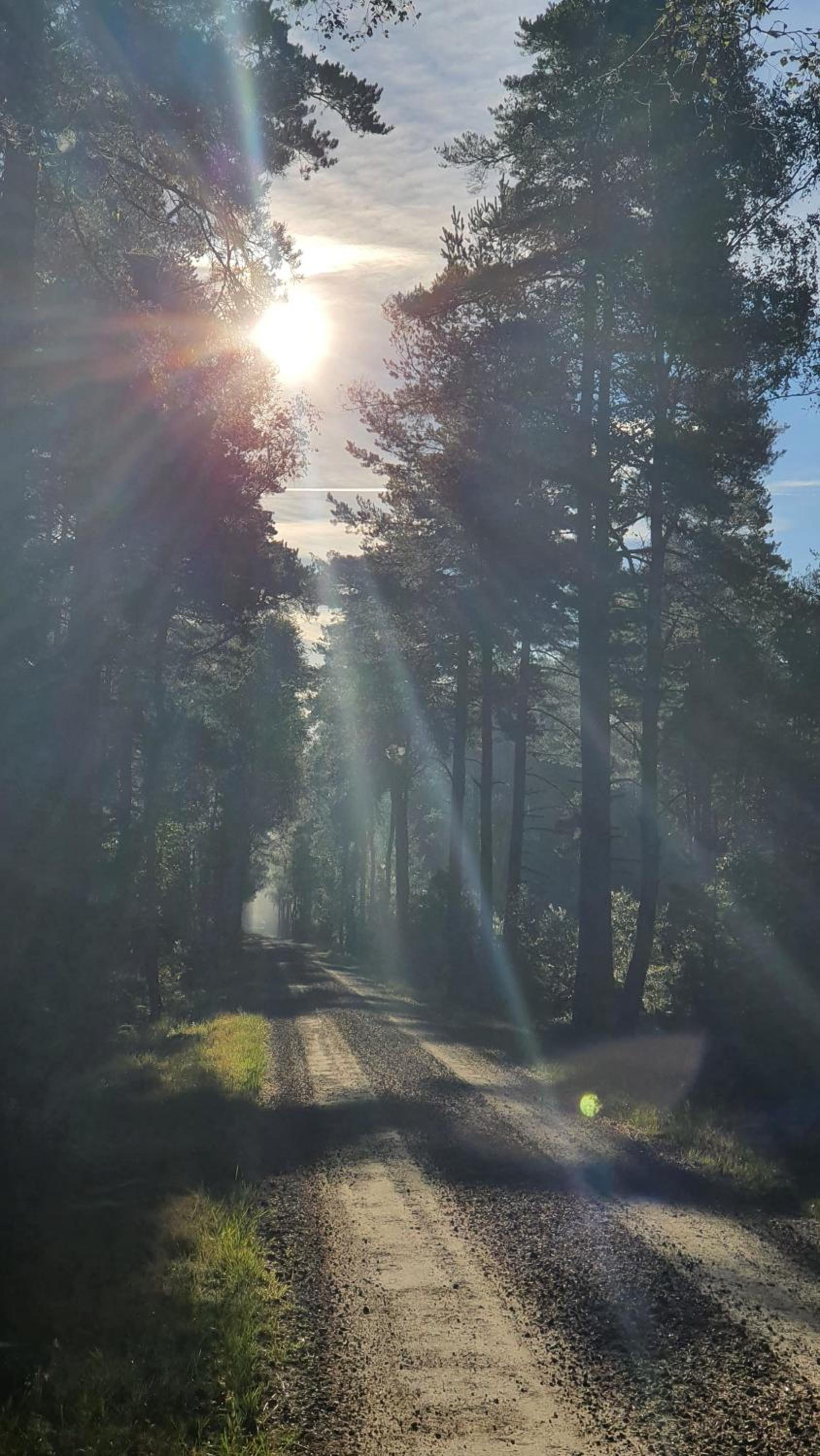 Södra Ljunga Vandrarhem