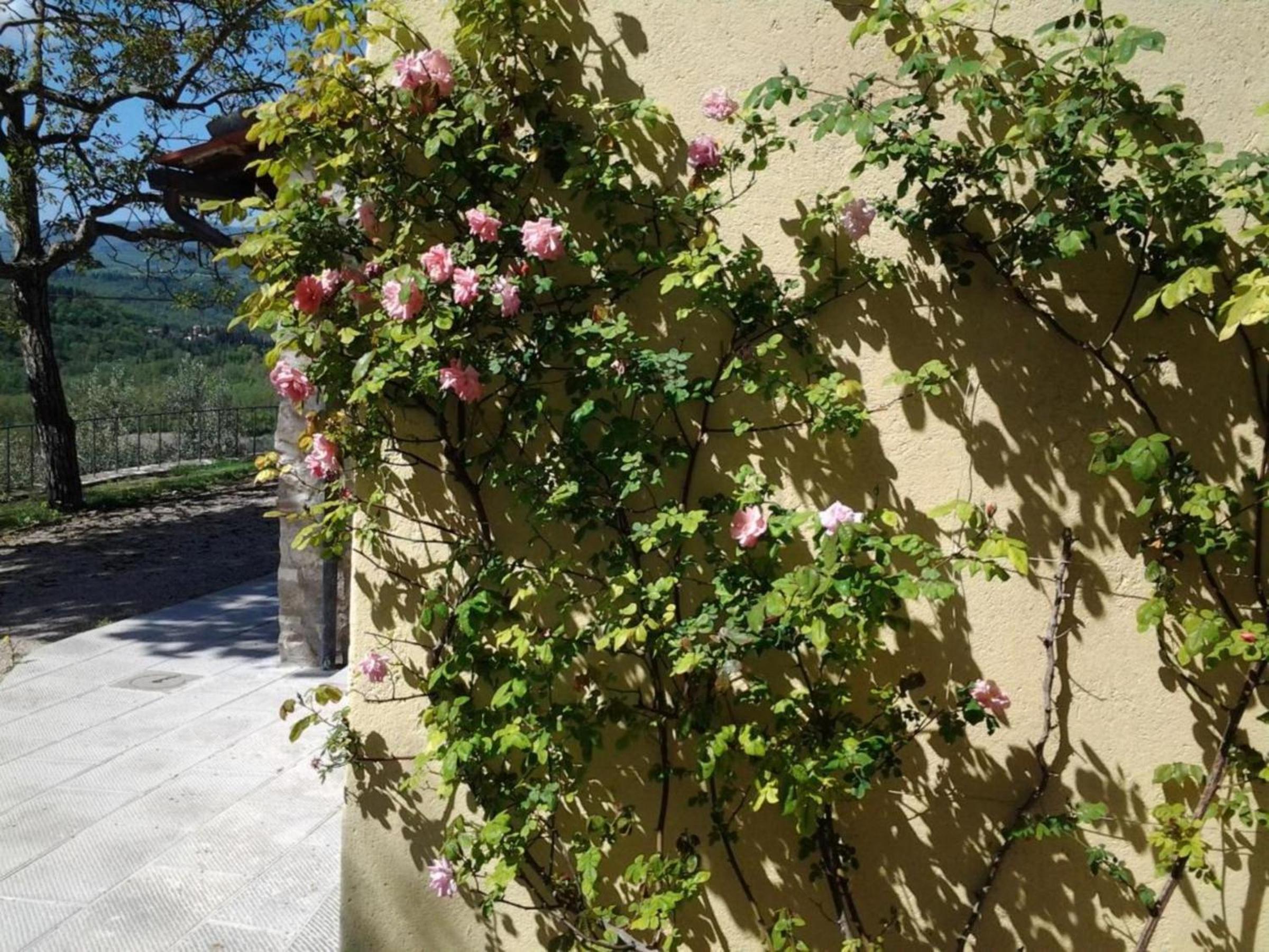Agriturismo Fattoio alle Ripe