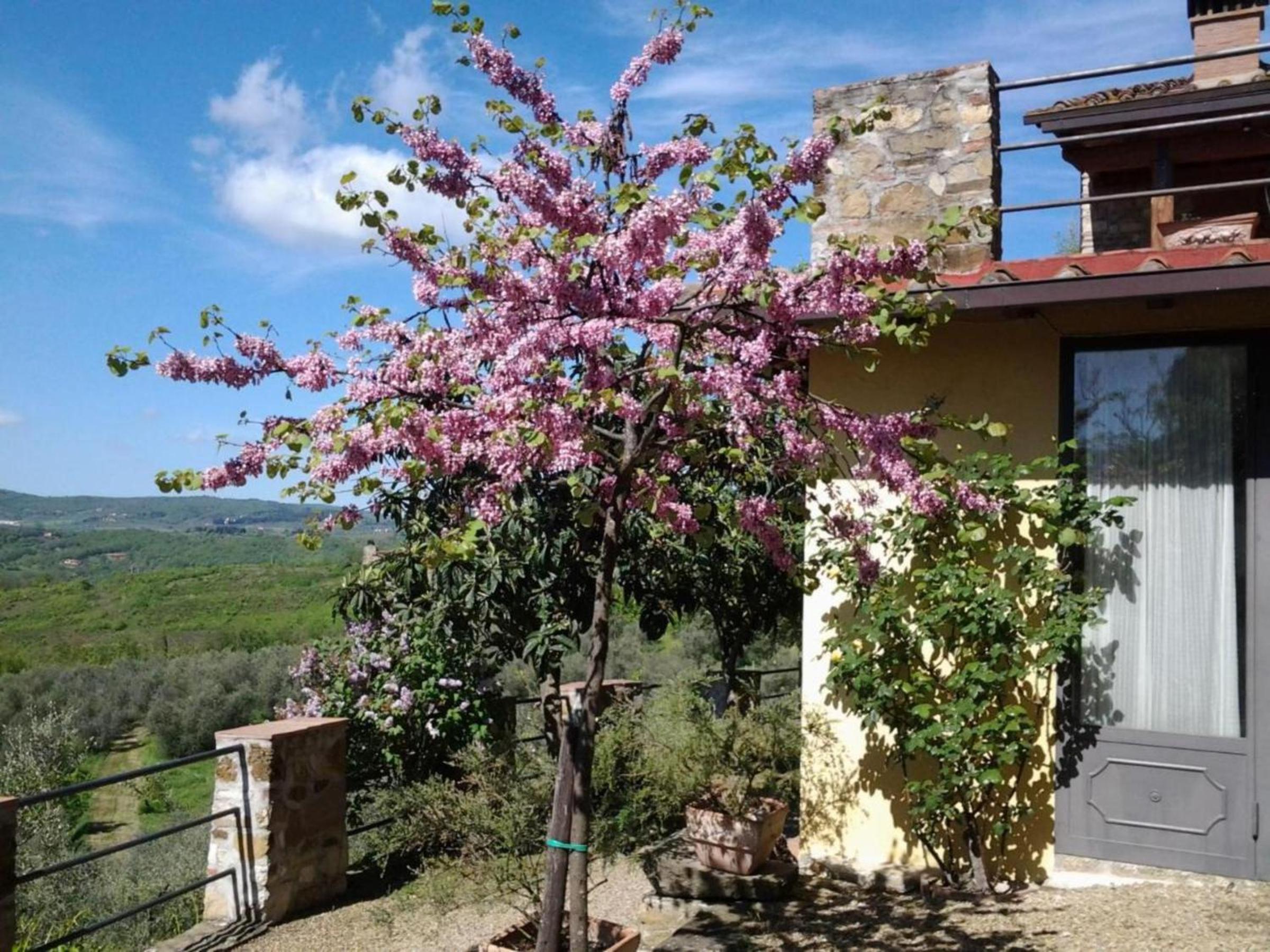 Agriturismo Fattoio alle Ripe