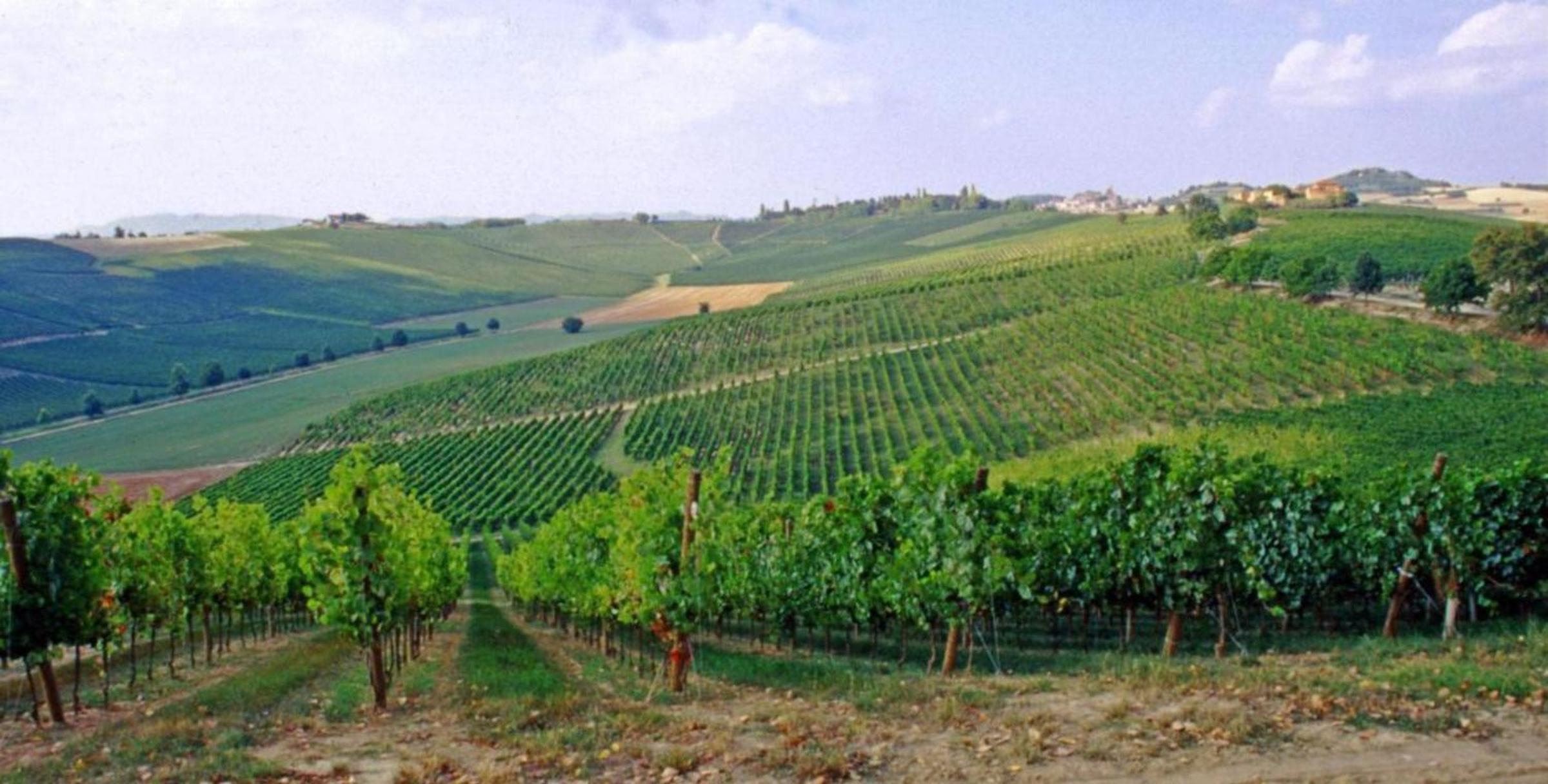 Agriturismo Fattoio alle Ripe