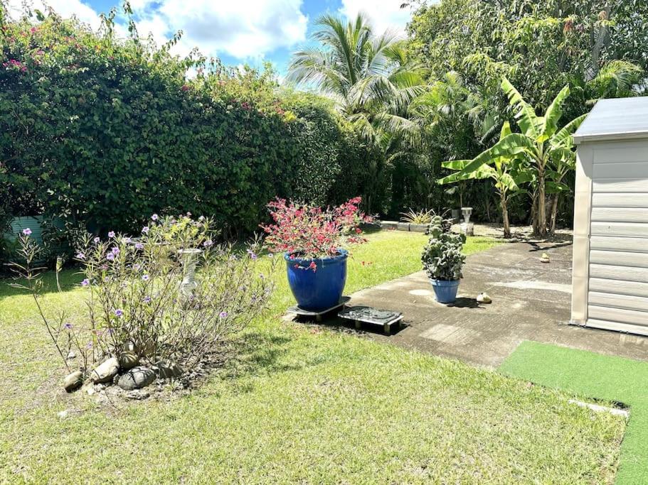 Gîte Mabouya - Hamac, Piscine, Jardin view 2