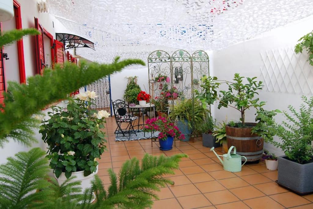 Espectacular Estudio Loft Chill Out by the sea photo 4